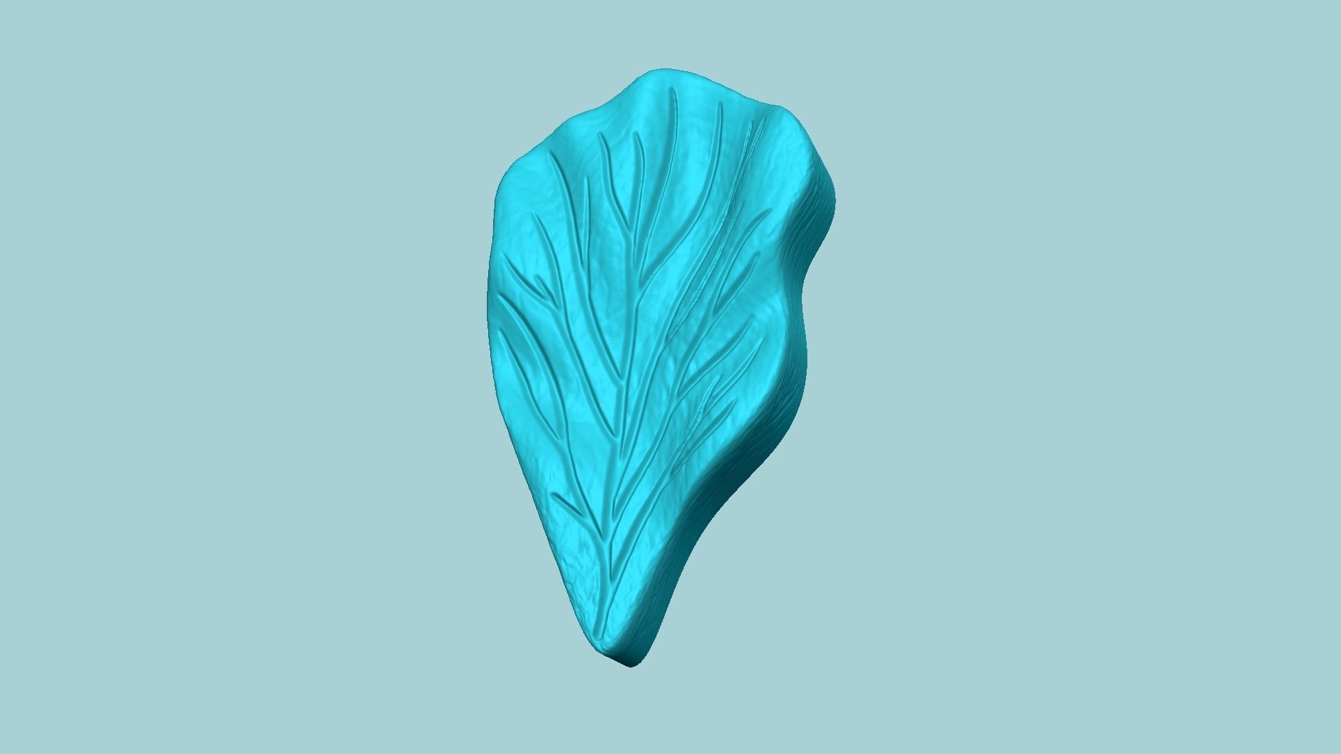Hibiscus Flower Petal 01 - Moulding Artificial Craft 3D print model_1
