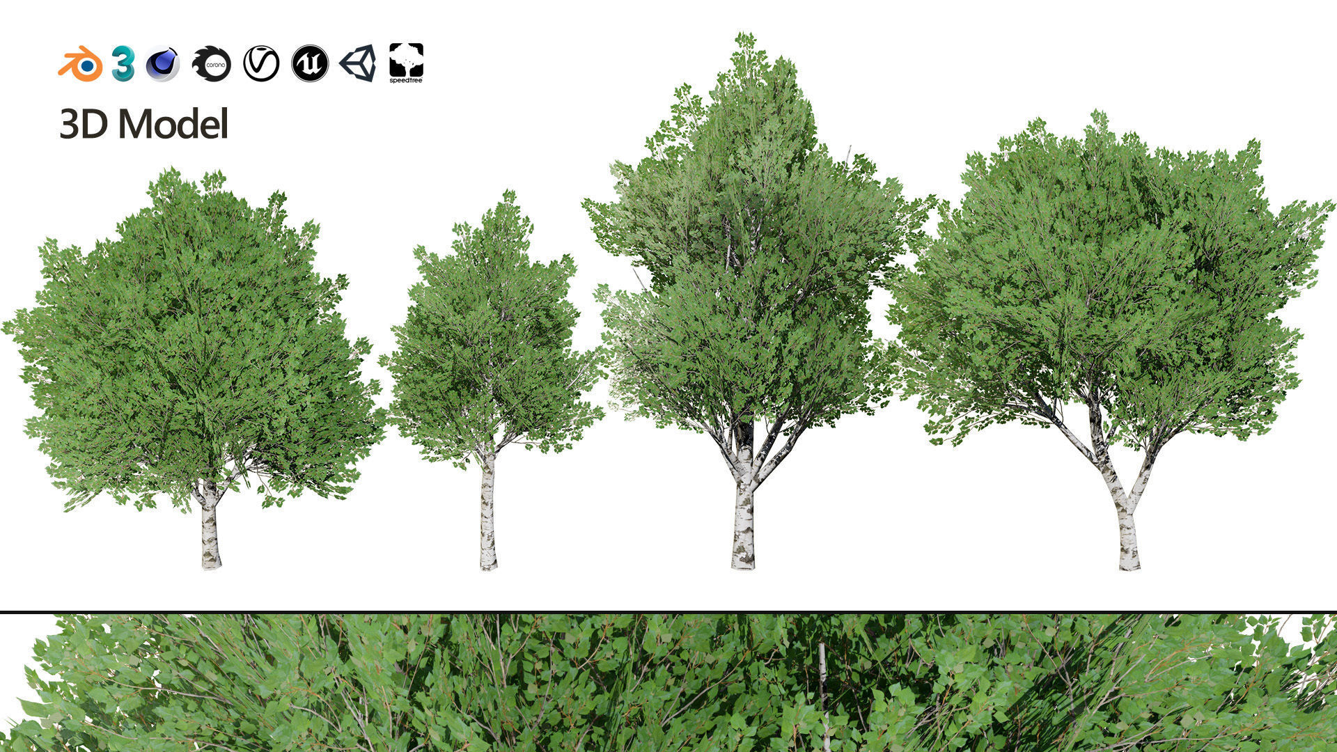Low Poly Grey Poplar Trees Low-poly 3D model_3