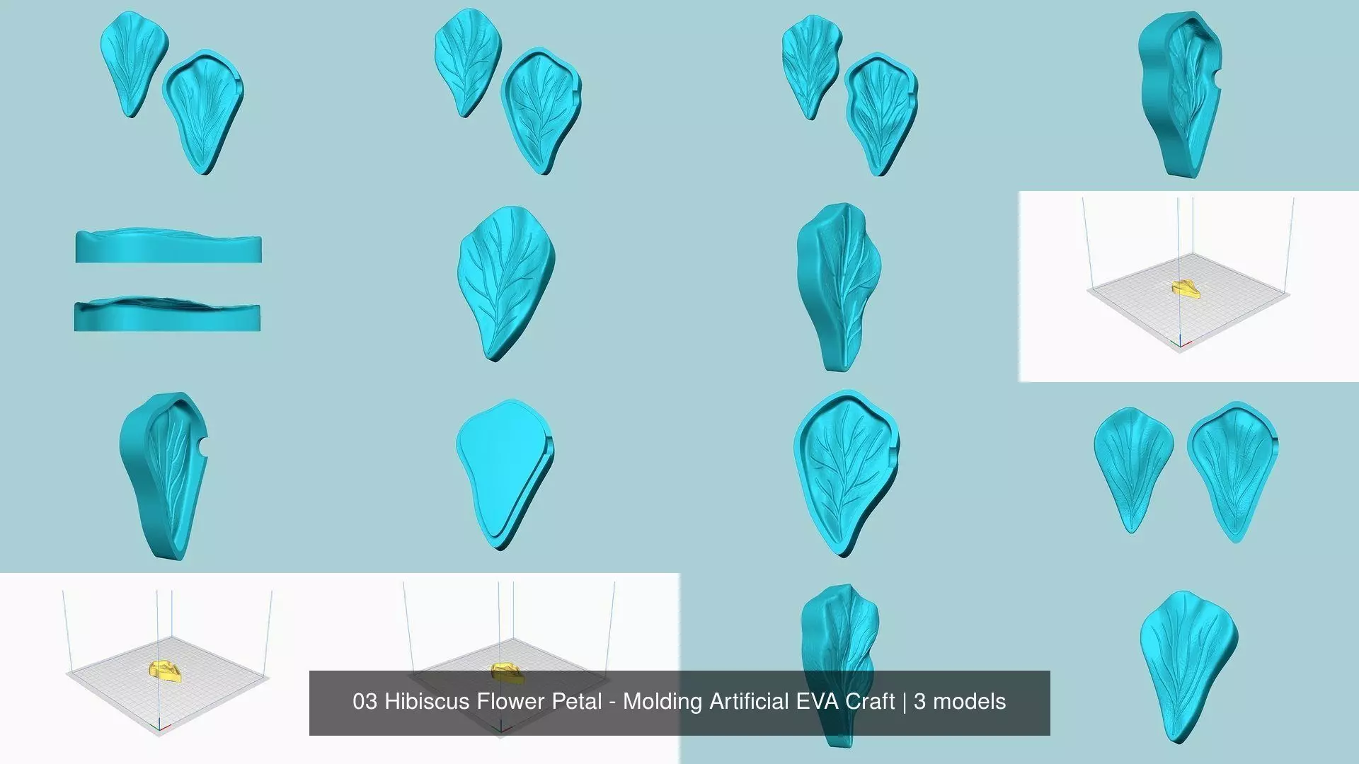 03 Hibiscus Flower Petal - Molding Artificial EVA Craft 3D Model Collection_1