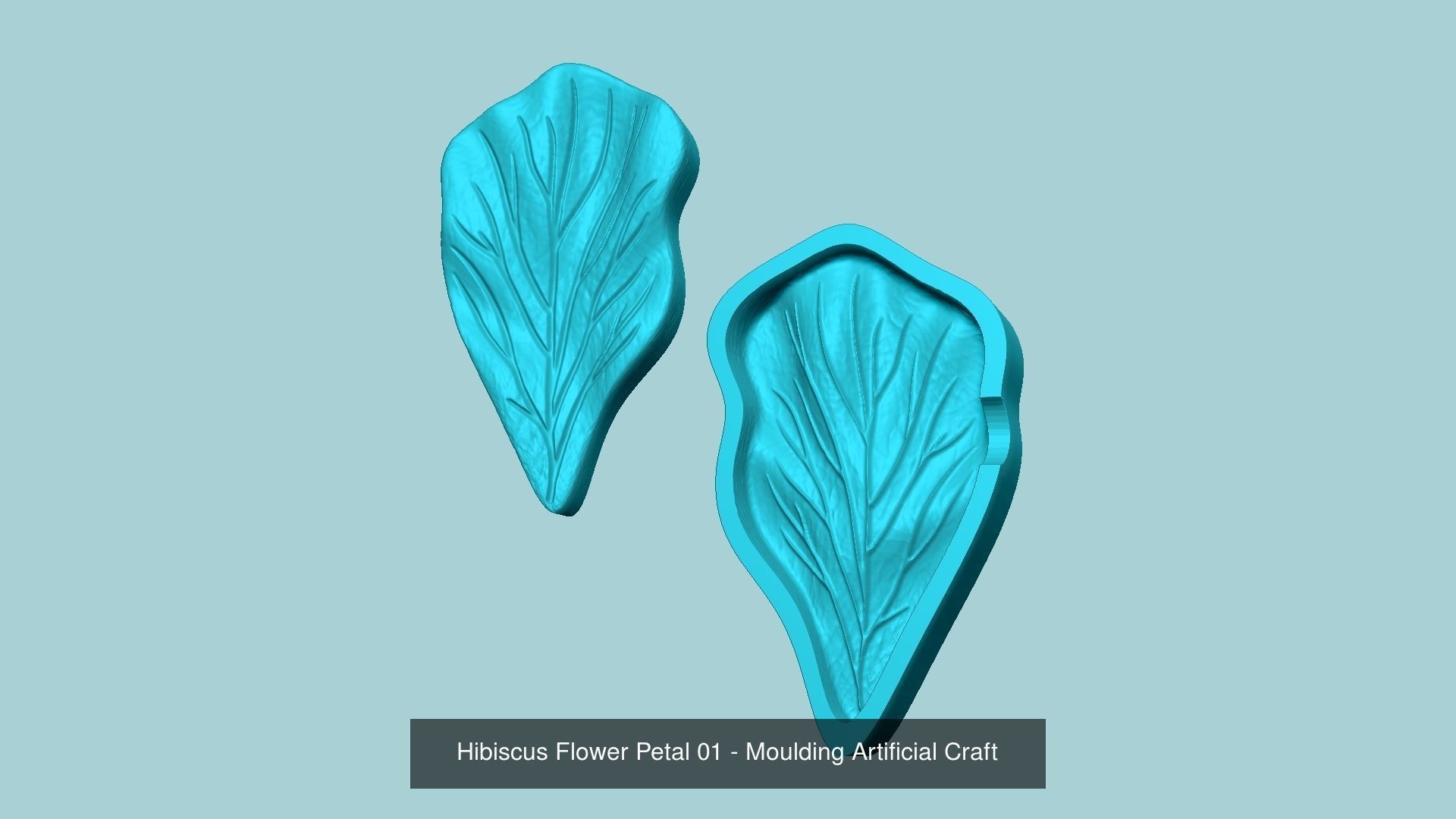 03 Hibiscus Flower Petal - Molding Artificial EVA Craft 3D Model Collection_5