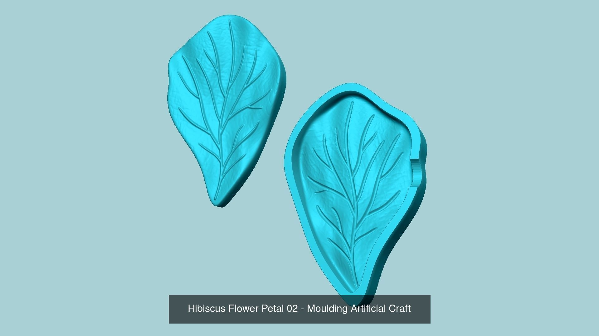 03 Hibiscus Flower Petal - Molding Artificial EVA Craft 3D Model Collection_4