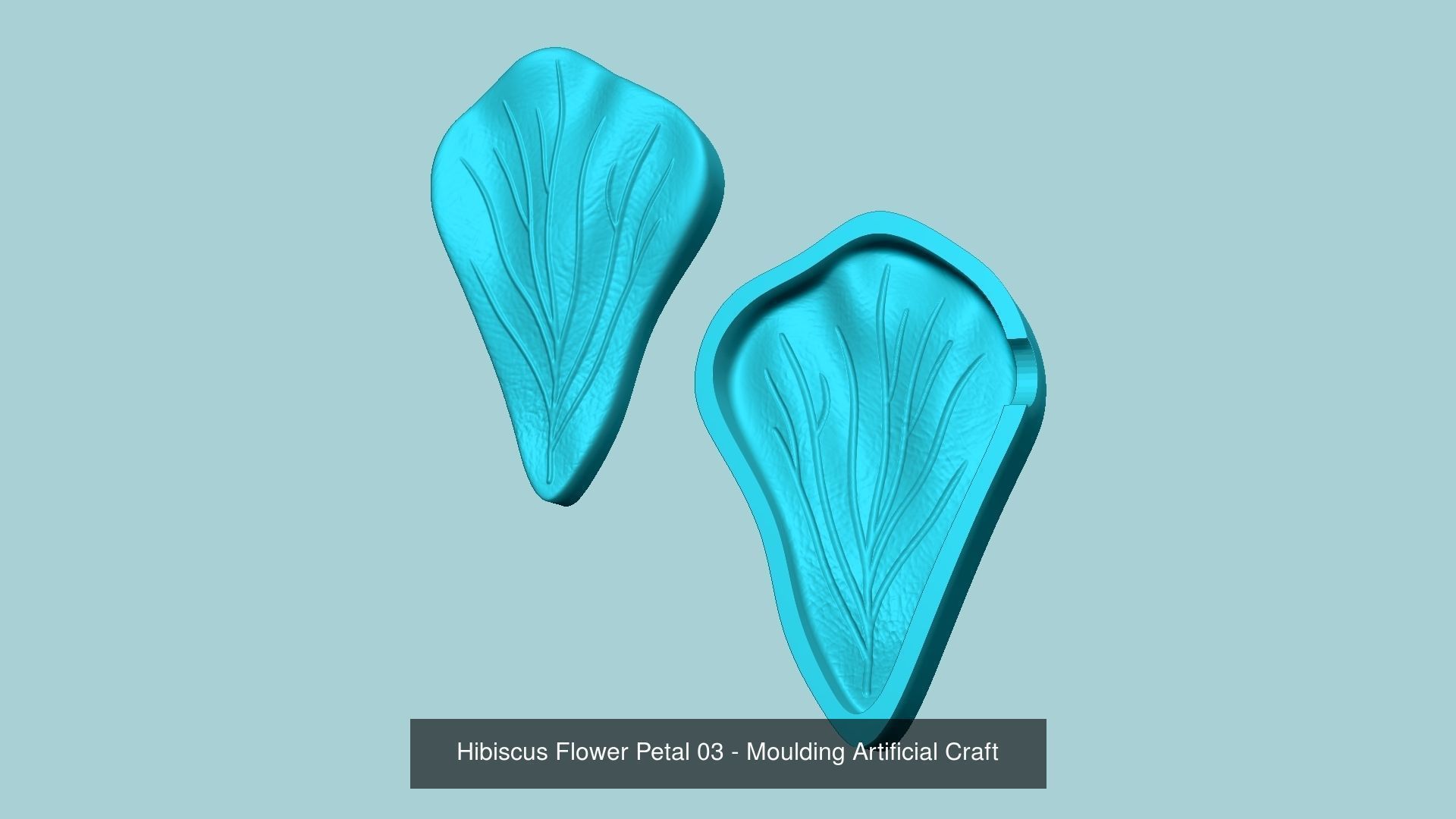 03 Hibiscus Flower Petal - Molding Artificial EVA Craft 3D Model Collection_3
