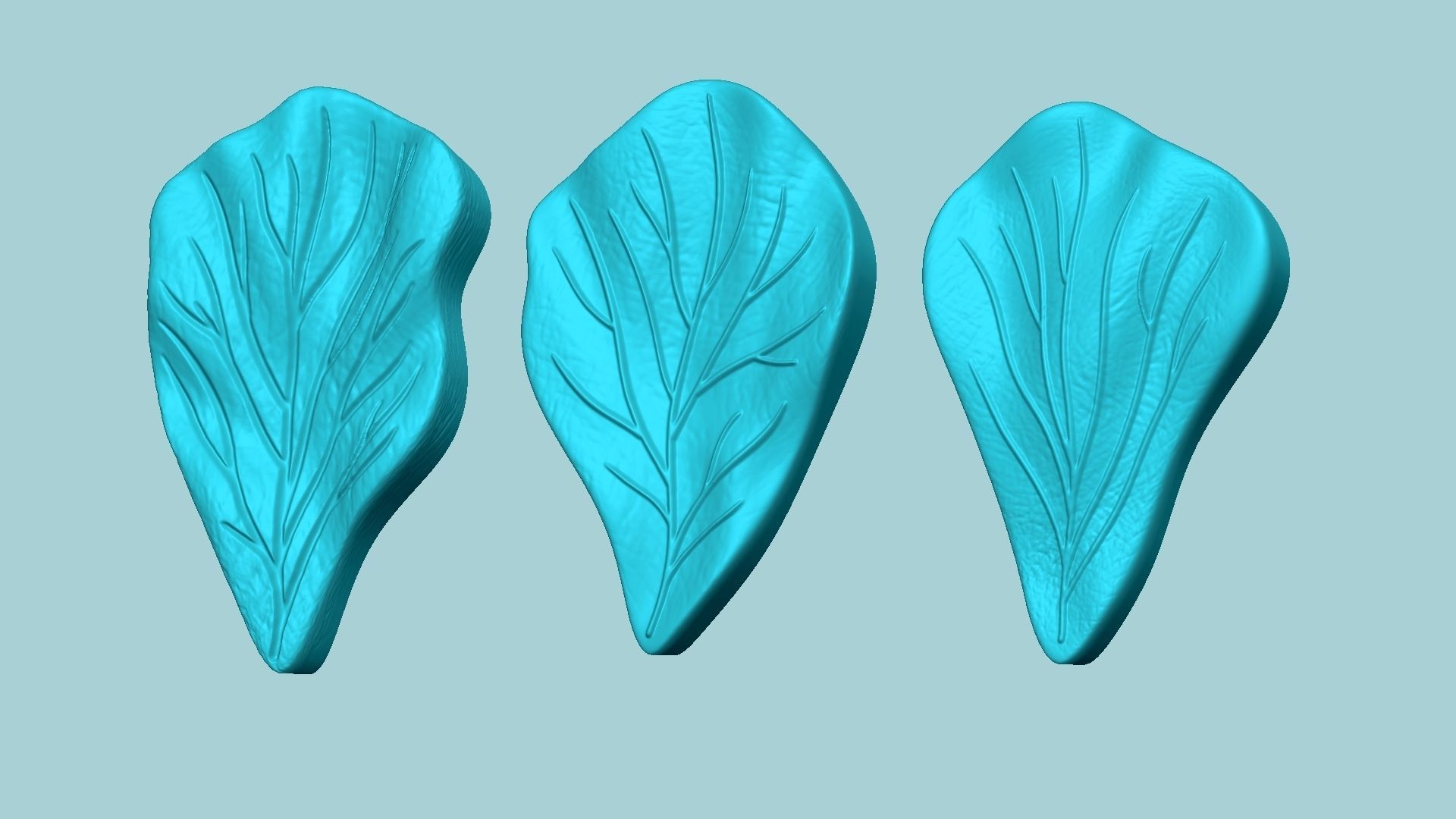 03 Hibiscus Flower Petal - Molding Artificial EVA Craft 3D Model Collection_2