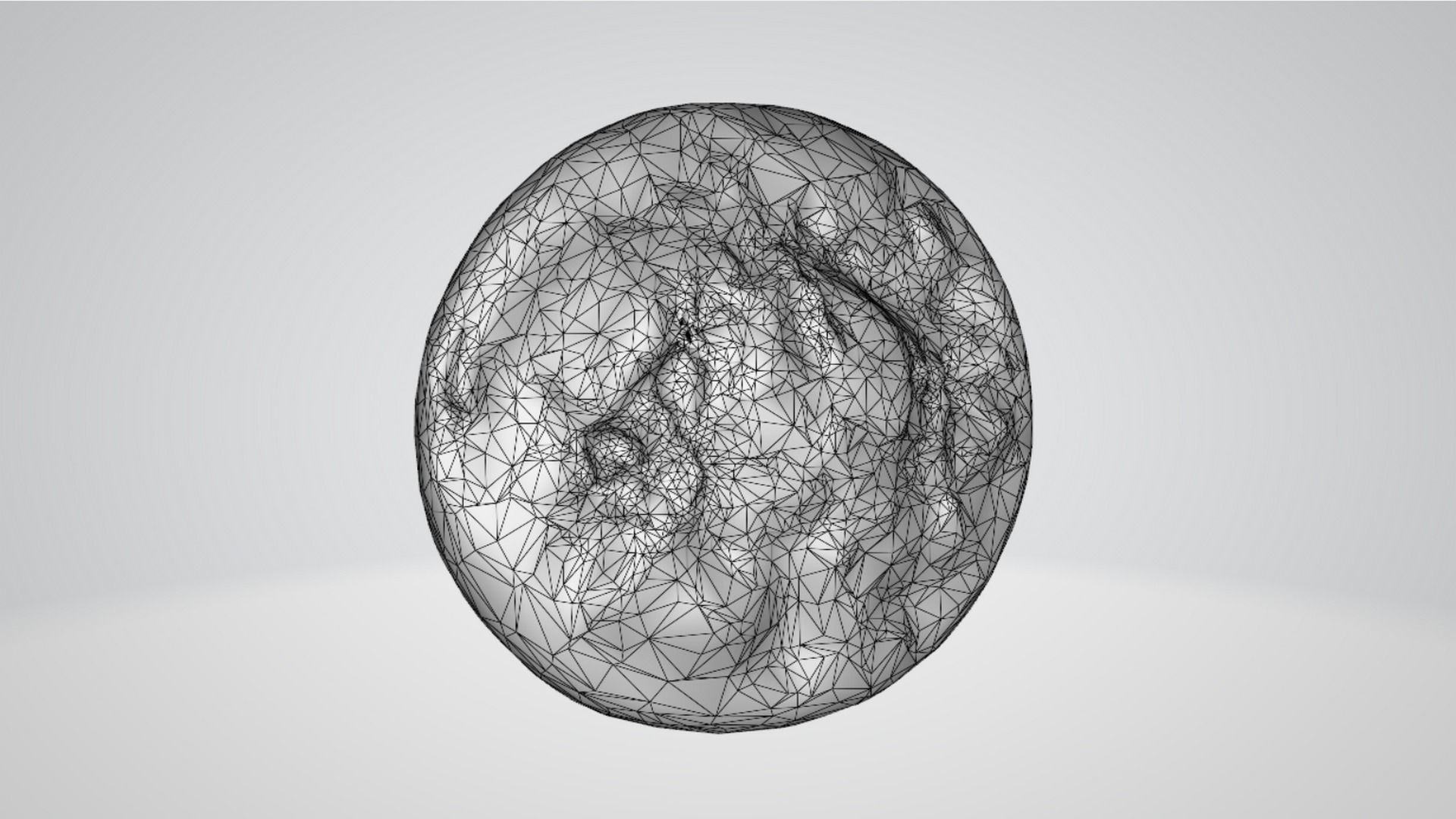 animal cell 3D model_5