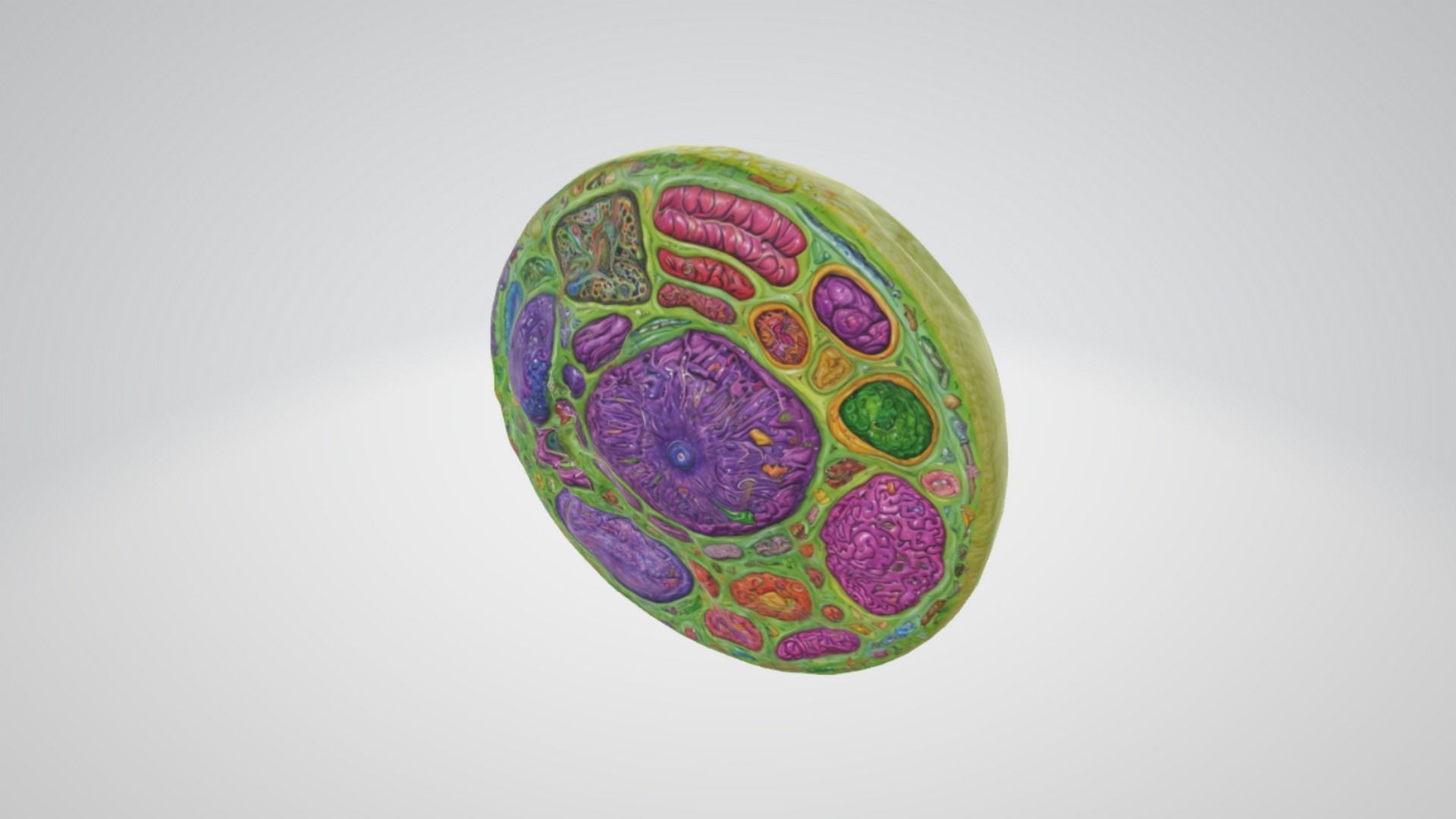 animal cell 3D model_3