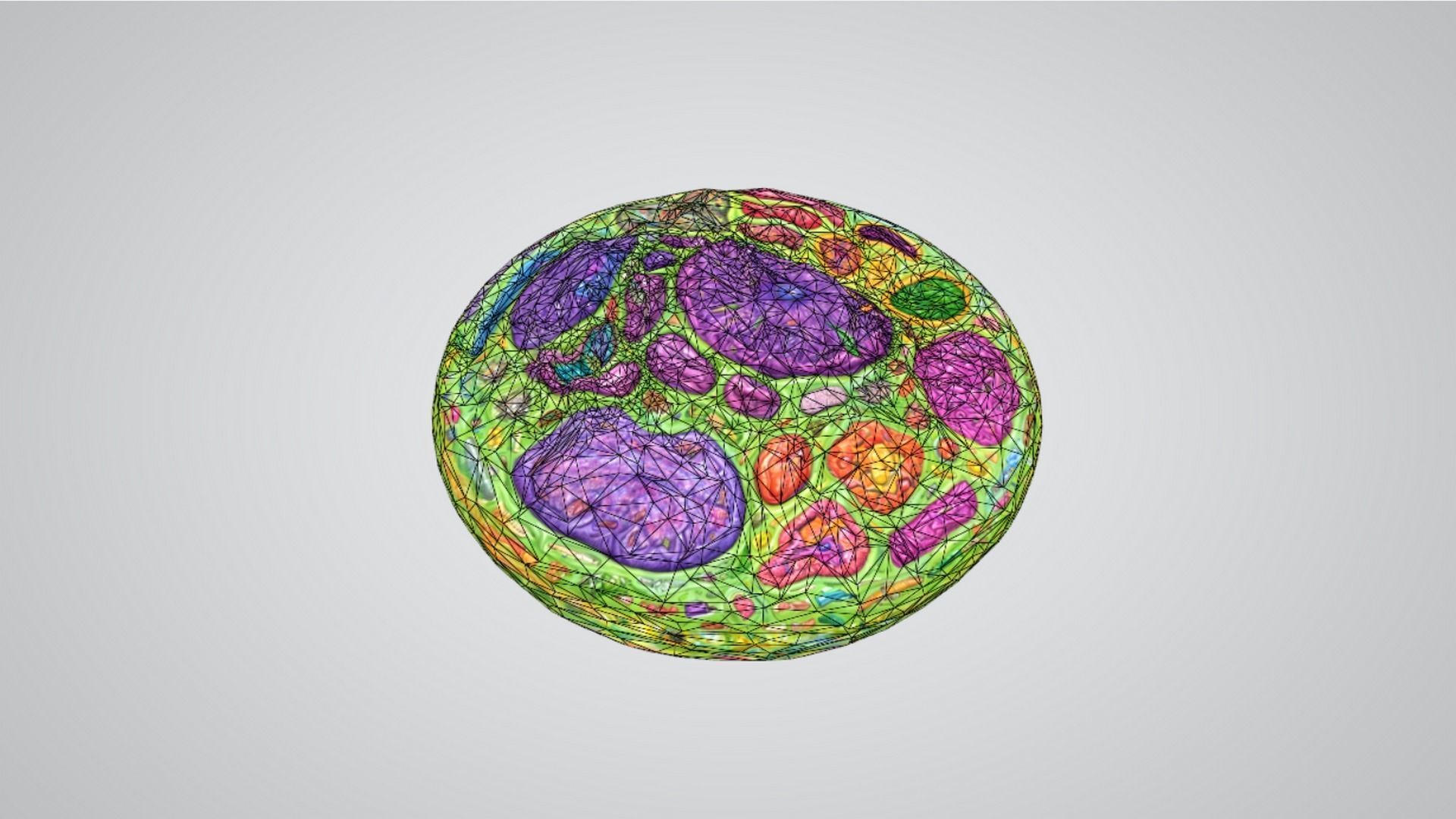 animal cell 3D model_4