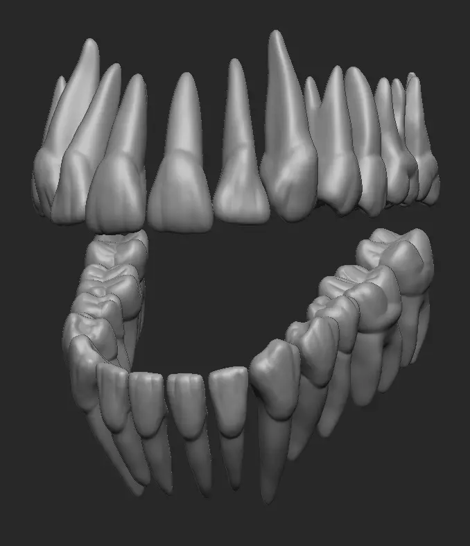 Teeth - Dientes 3D print model