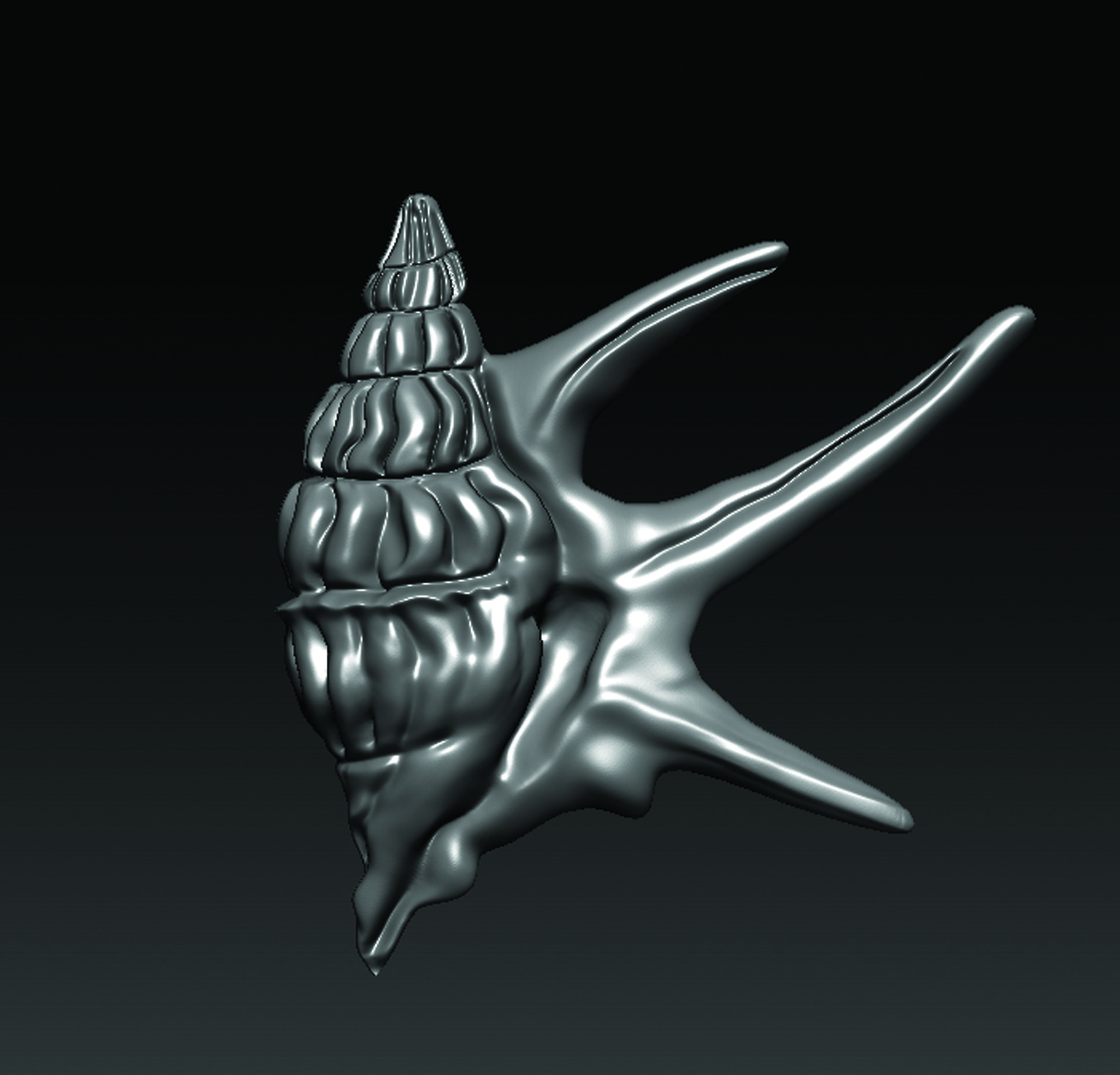 Sea Shell  3D print model_2