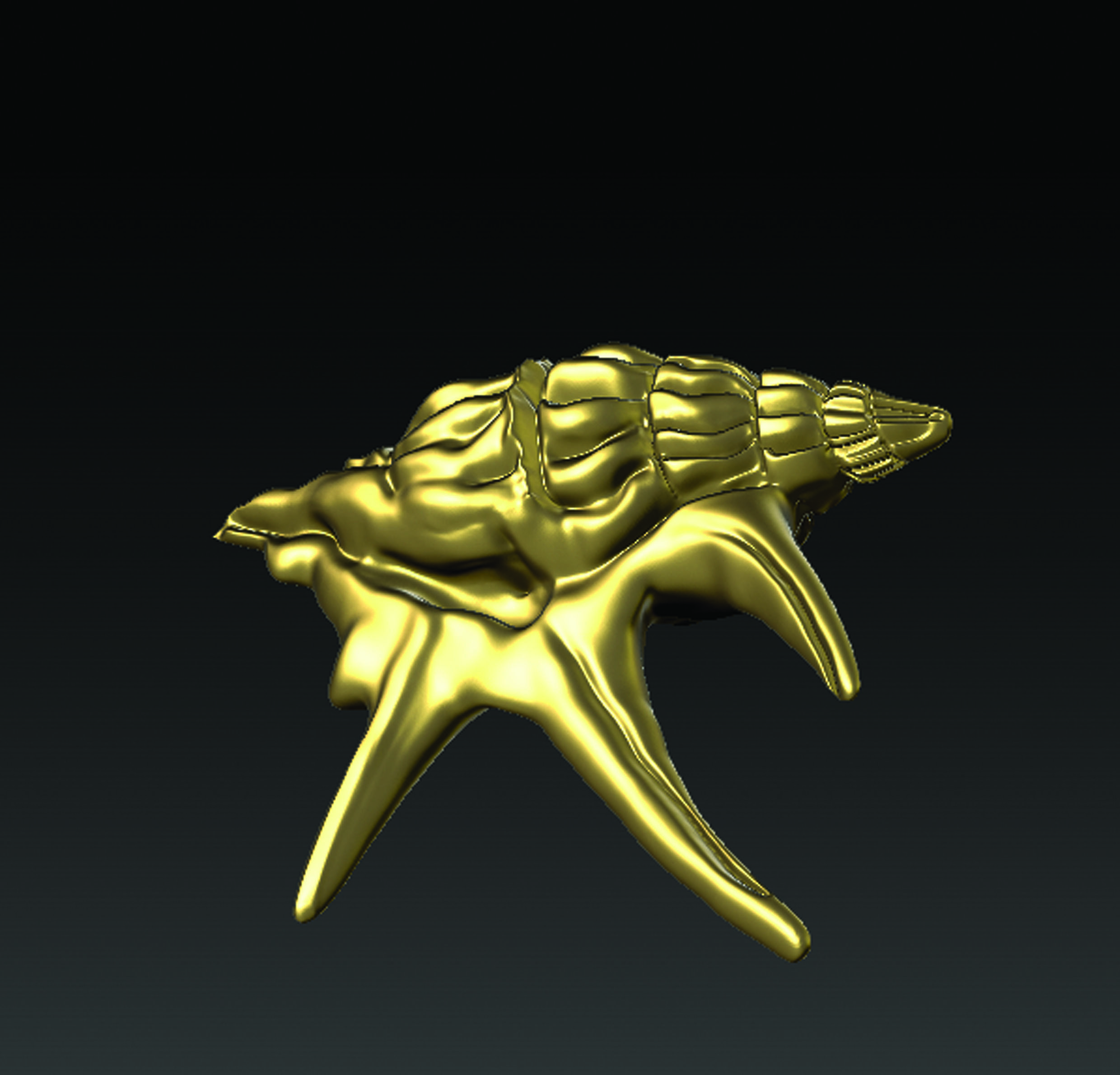 Sea Shell  3D print model_20