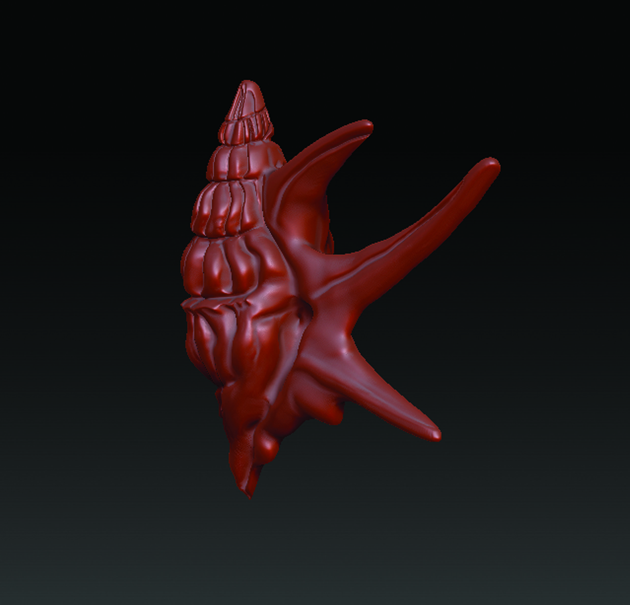 Sea Shell  3D print model_13