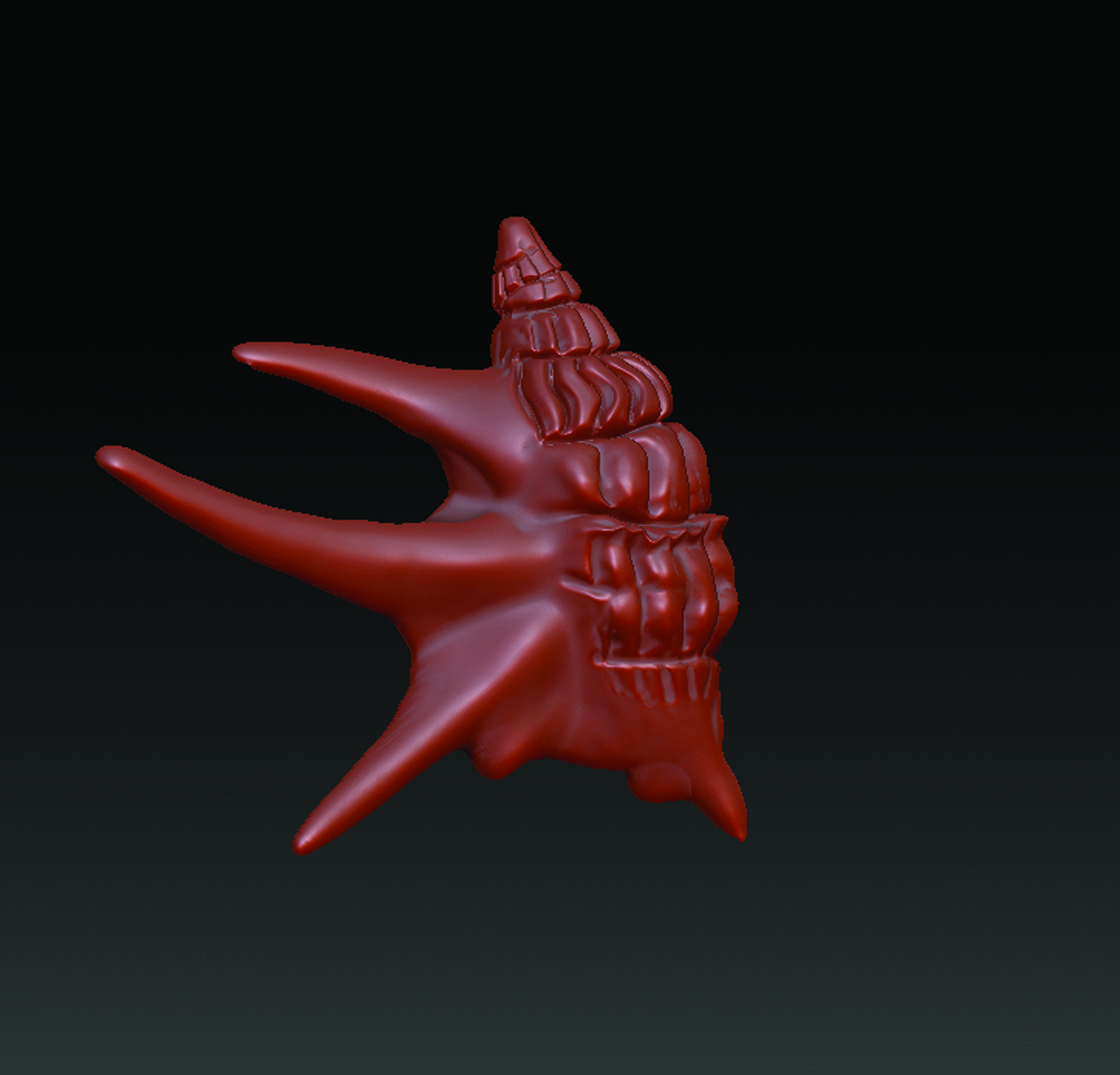 Sea Shell  3D print model_15