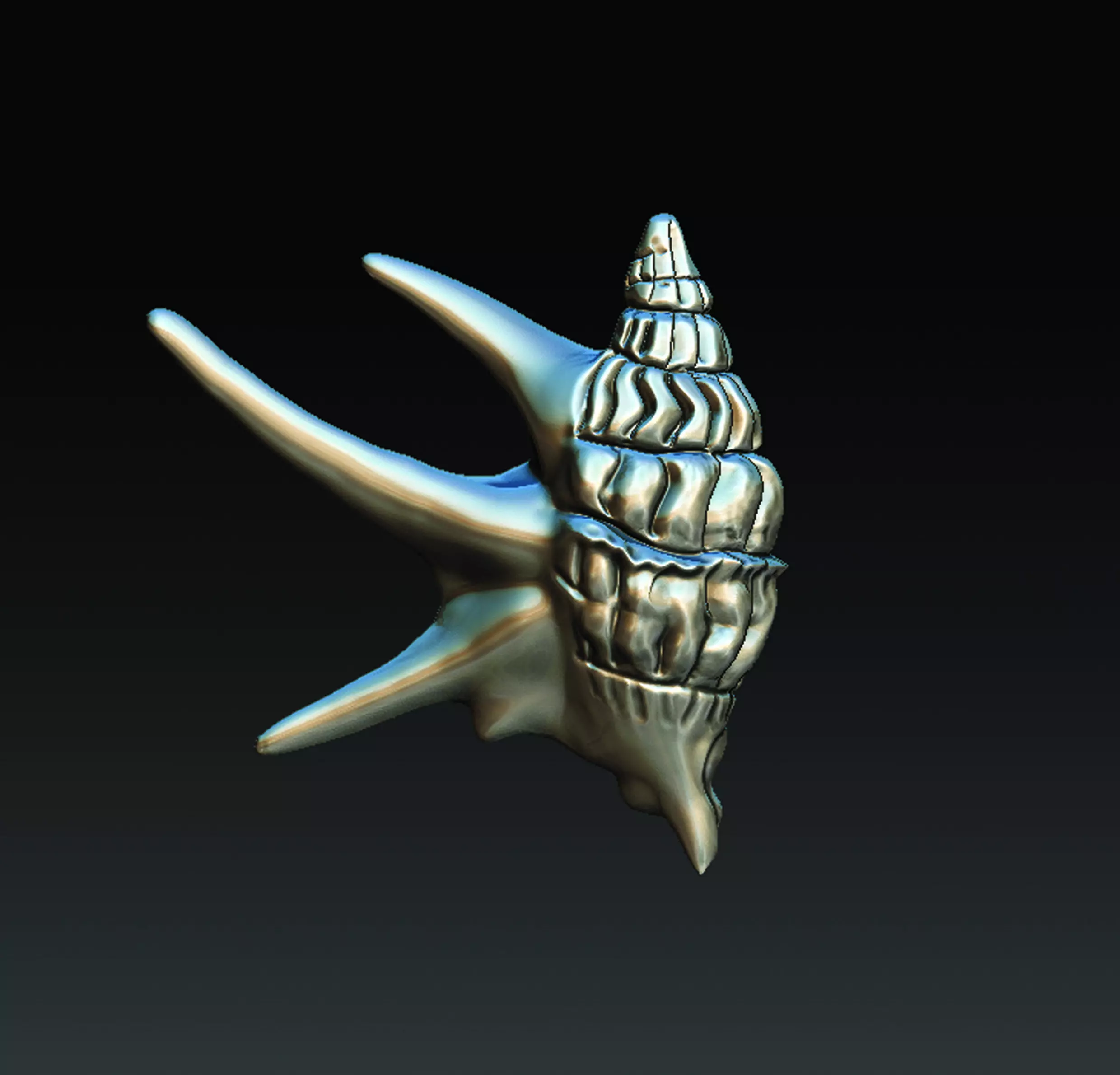 Sea Shell  3D print model_0