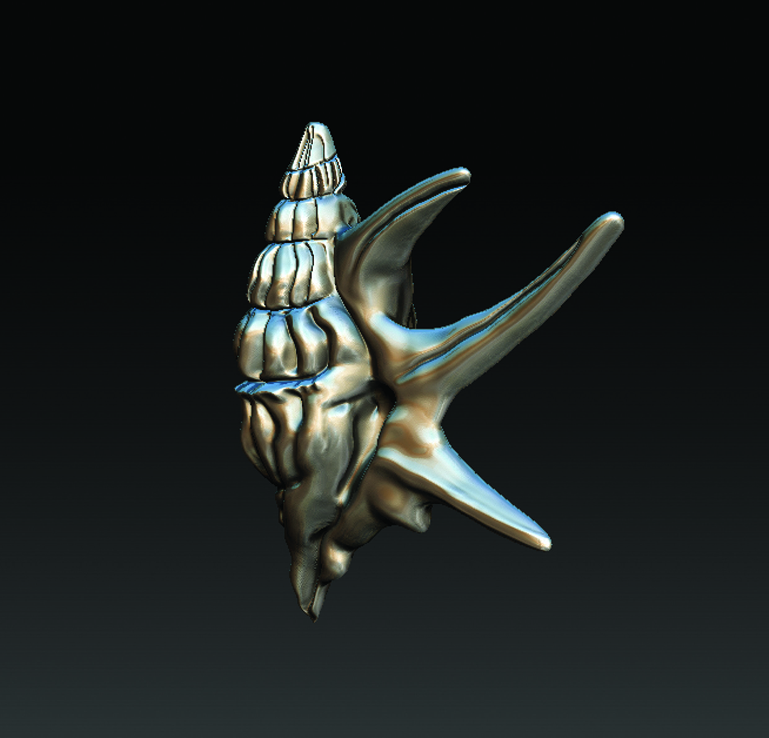 Sea Shell  3D print model_7