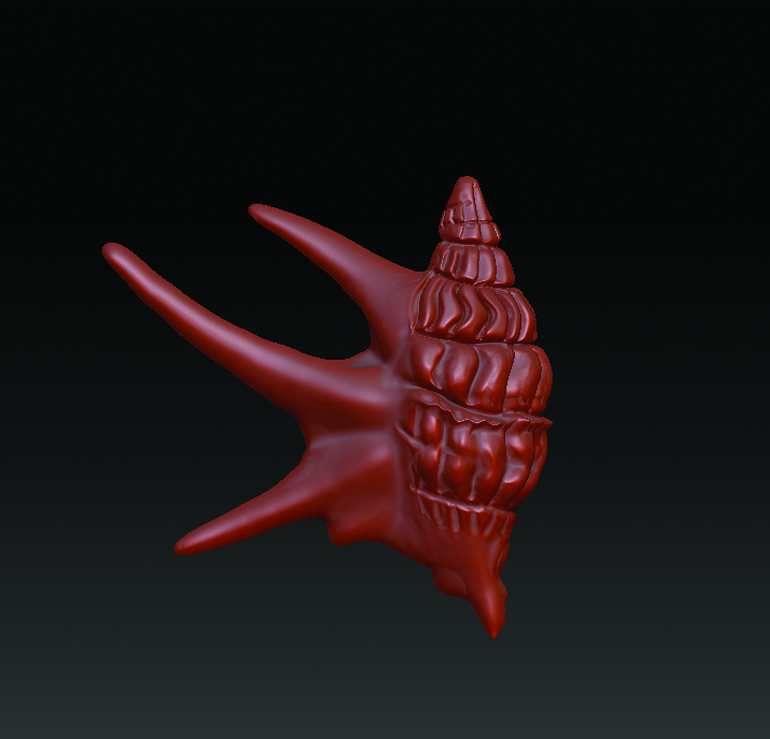 Sea Shell  3D print model_16