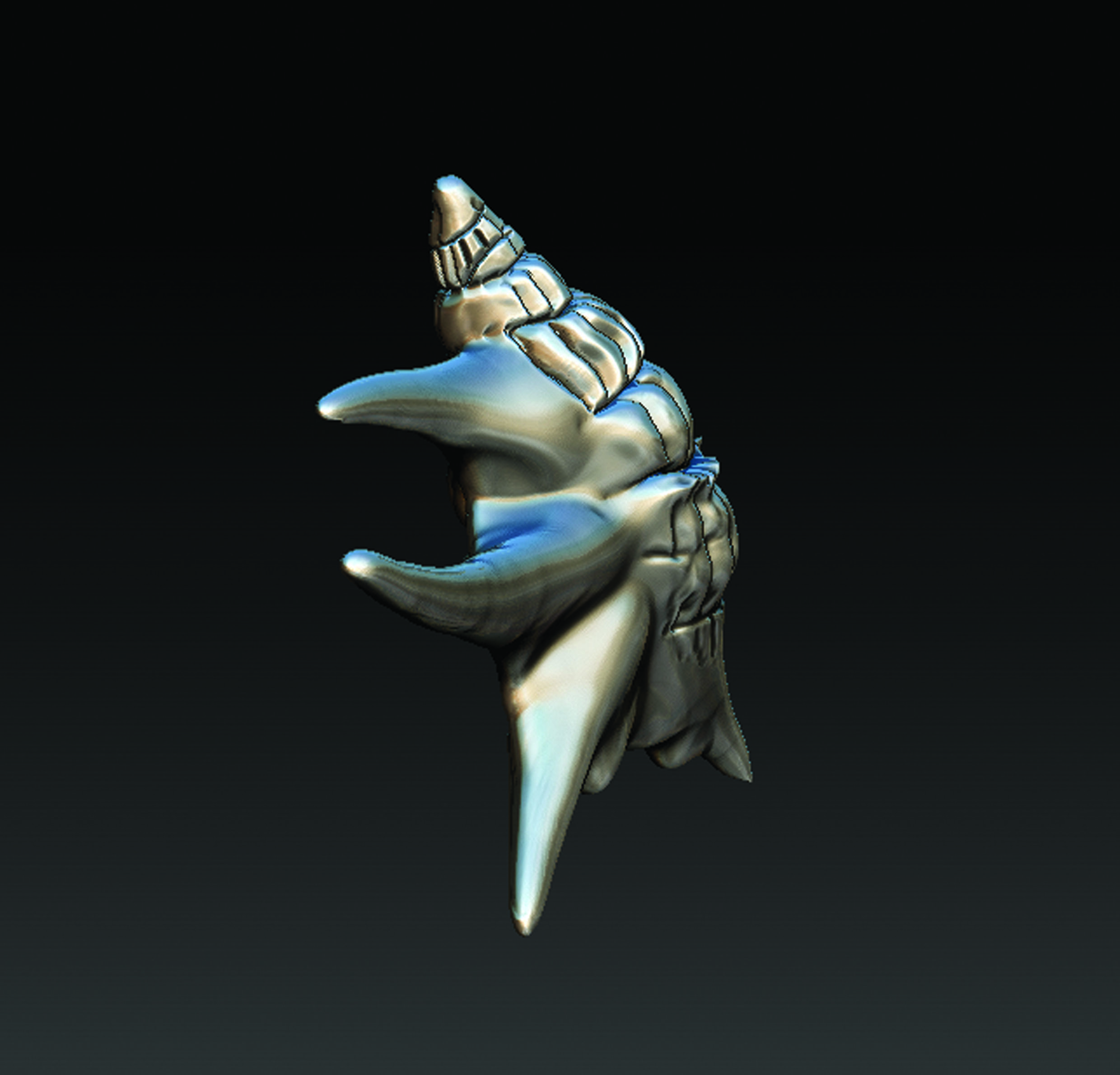 Sea Shell  3D print model_3