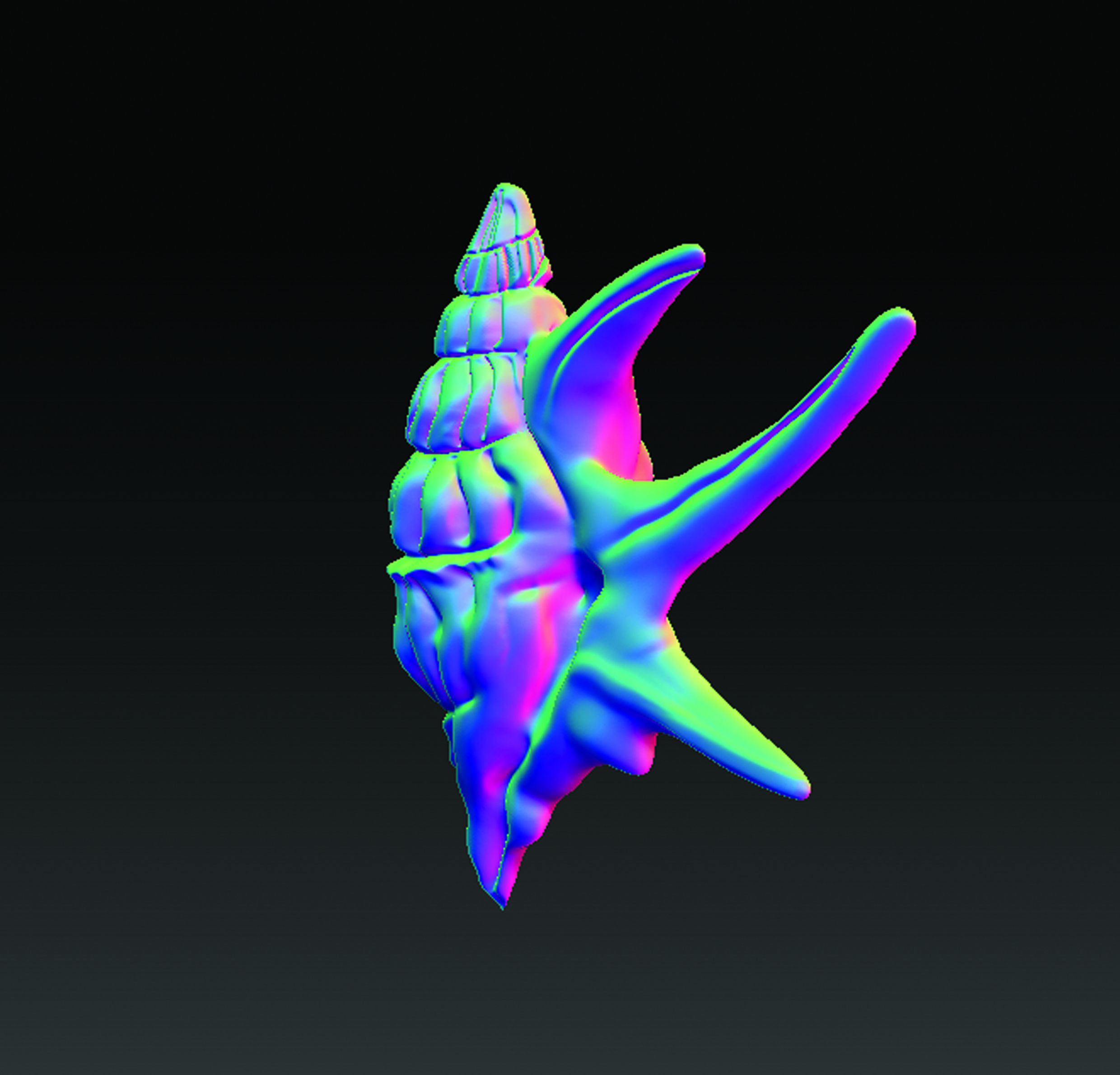 Sea Shell  3D print model_11