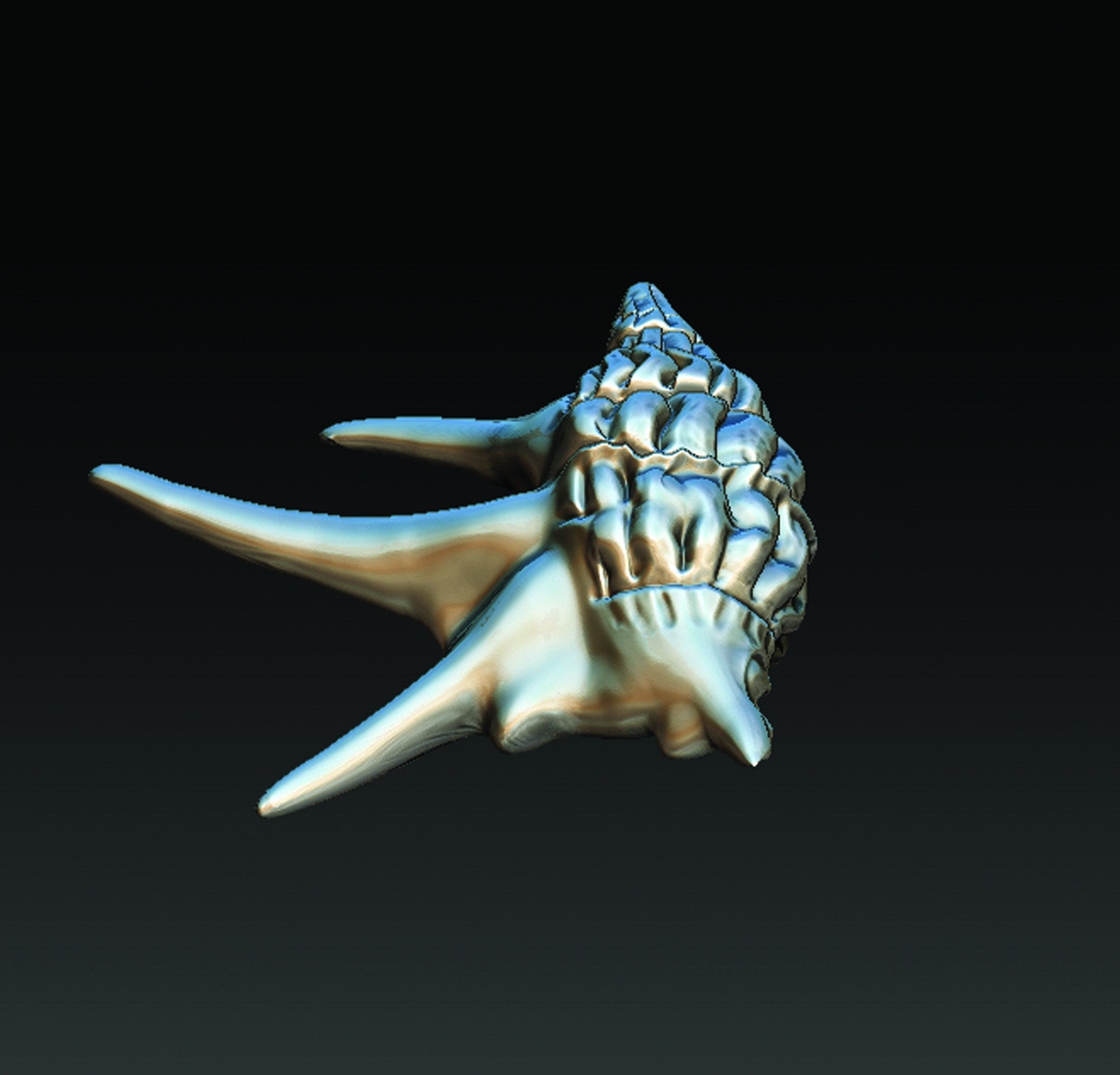 Sea Shell  3D print model_4
