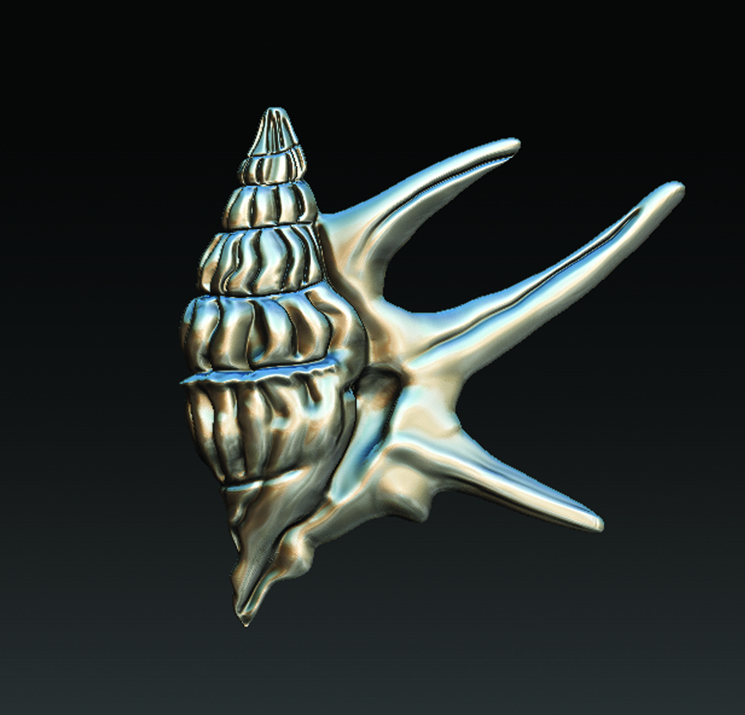 Sea Shell  3D print model_6