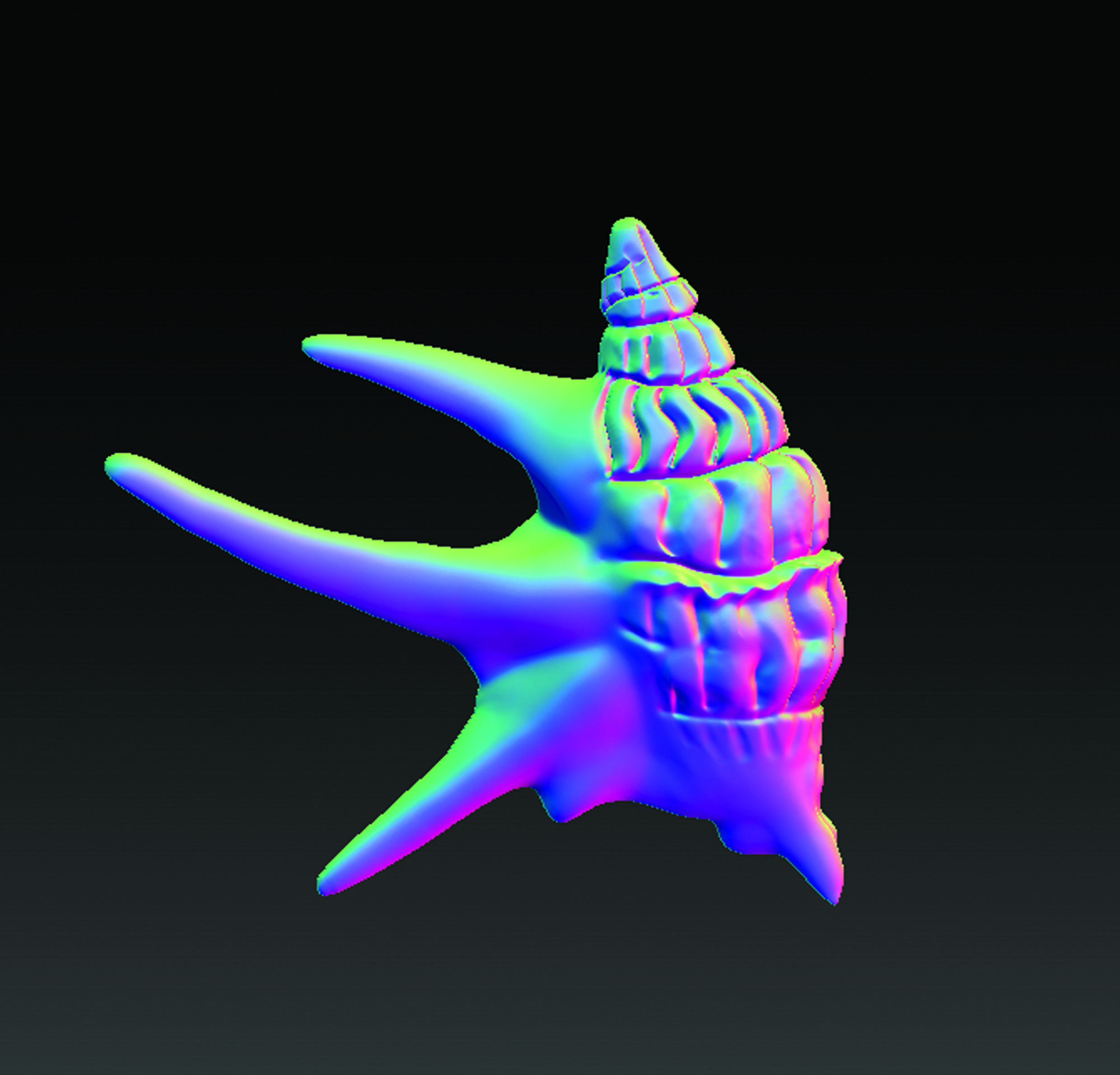 Sea Shell  3D print model_9