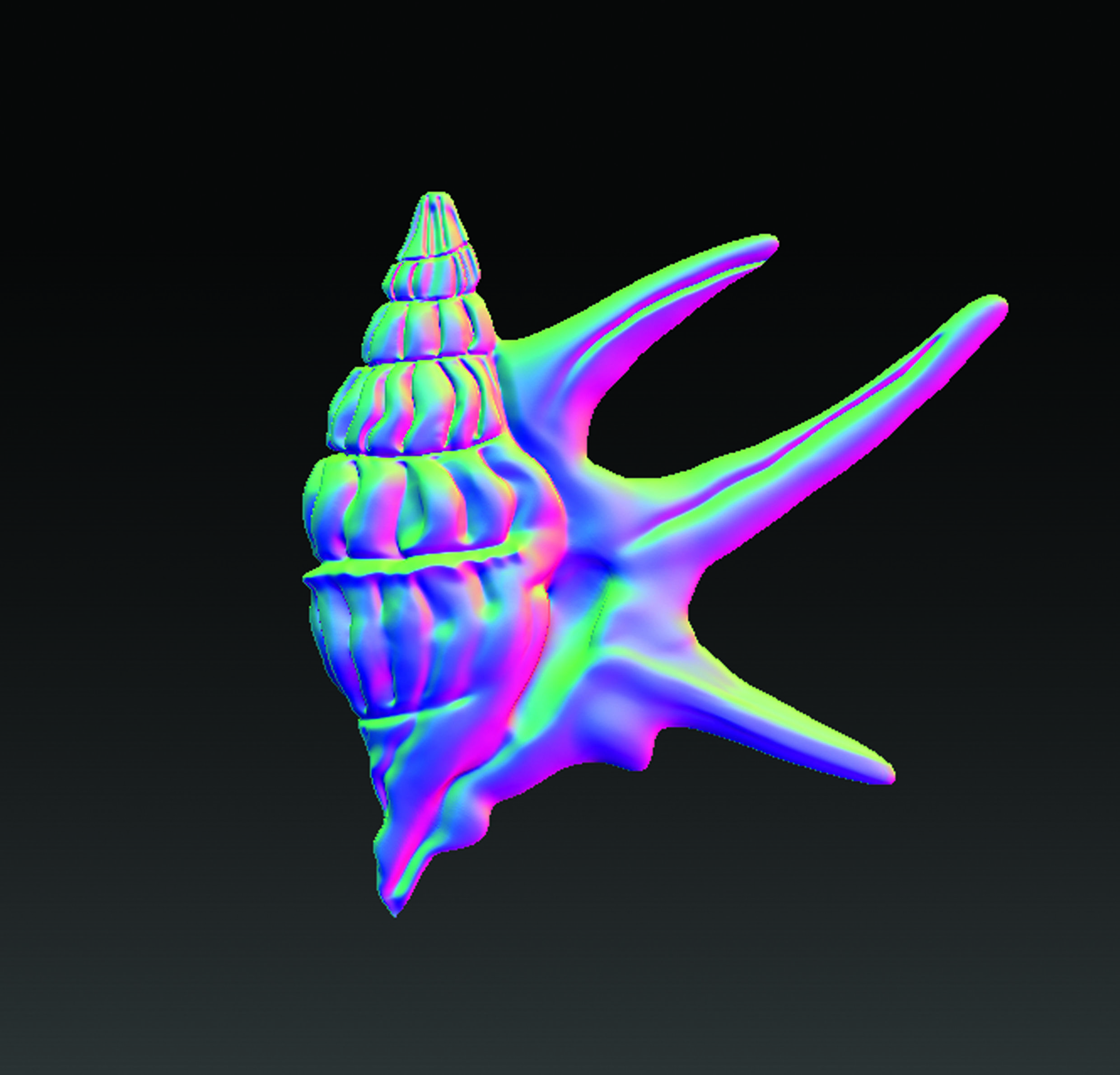 Sea Shell  3D print model_10