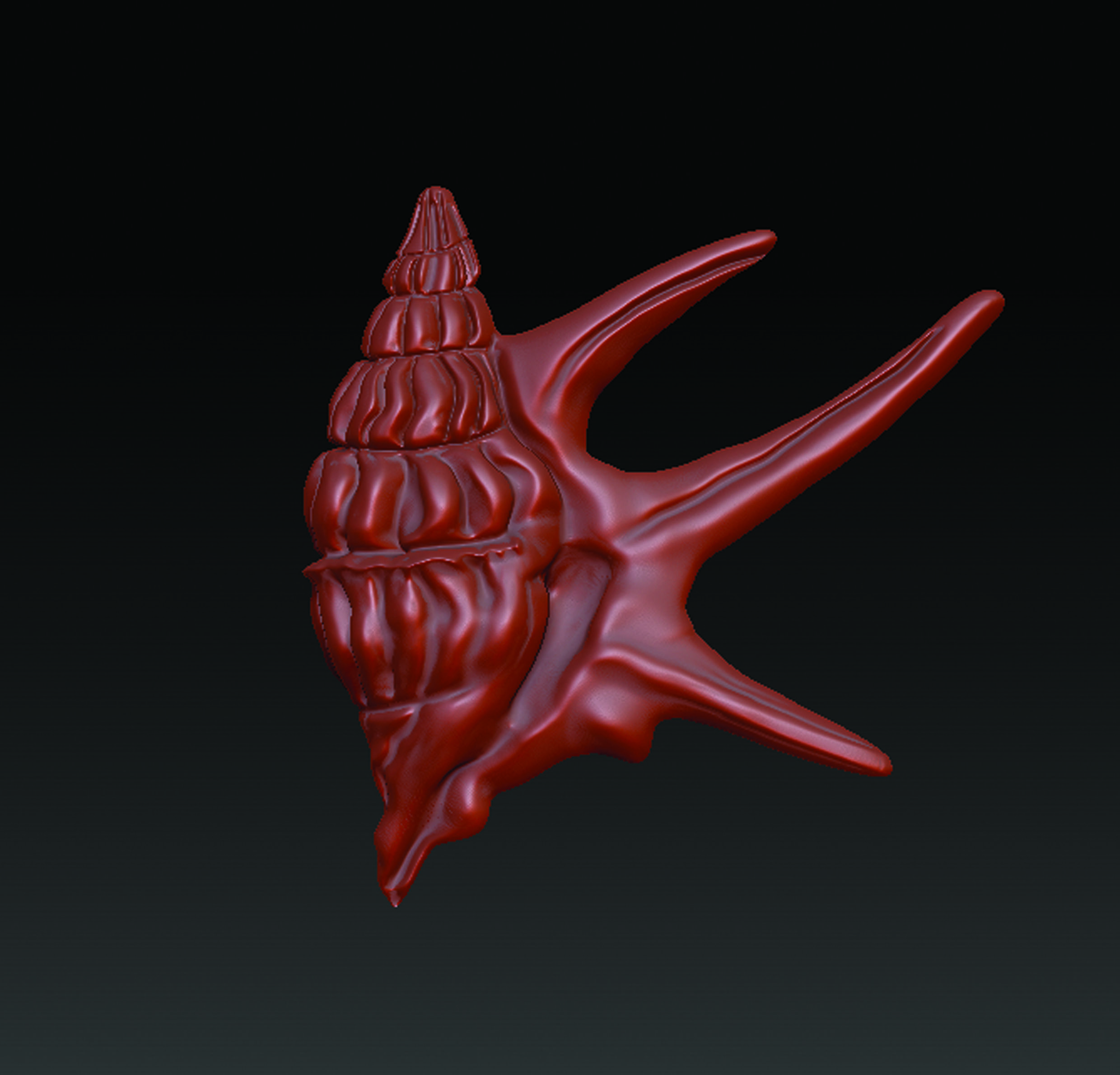 Sea Shell  3D print model_12