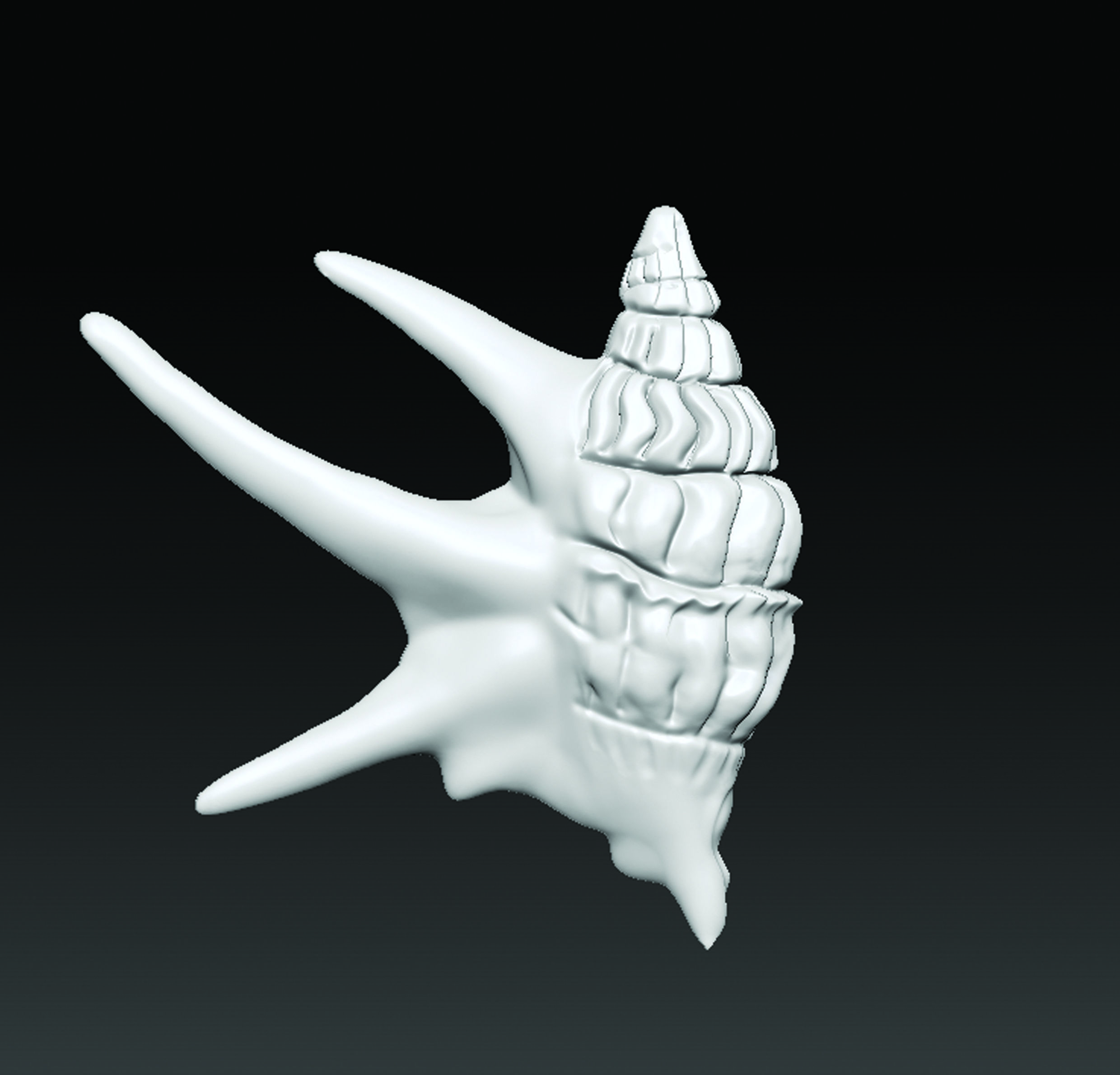Sea Shell  3D print model_5