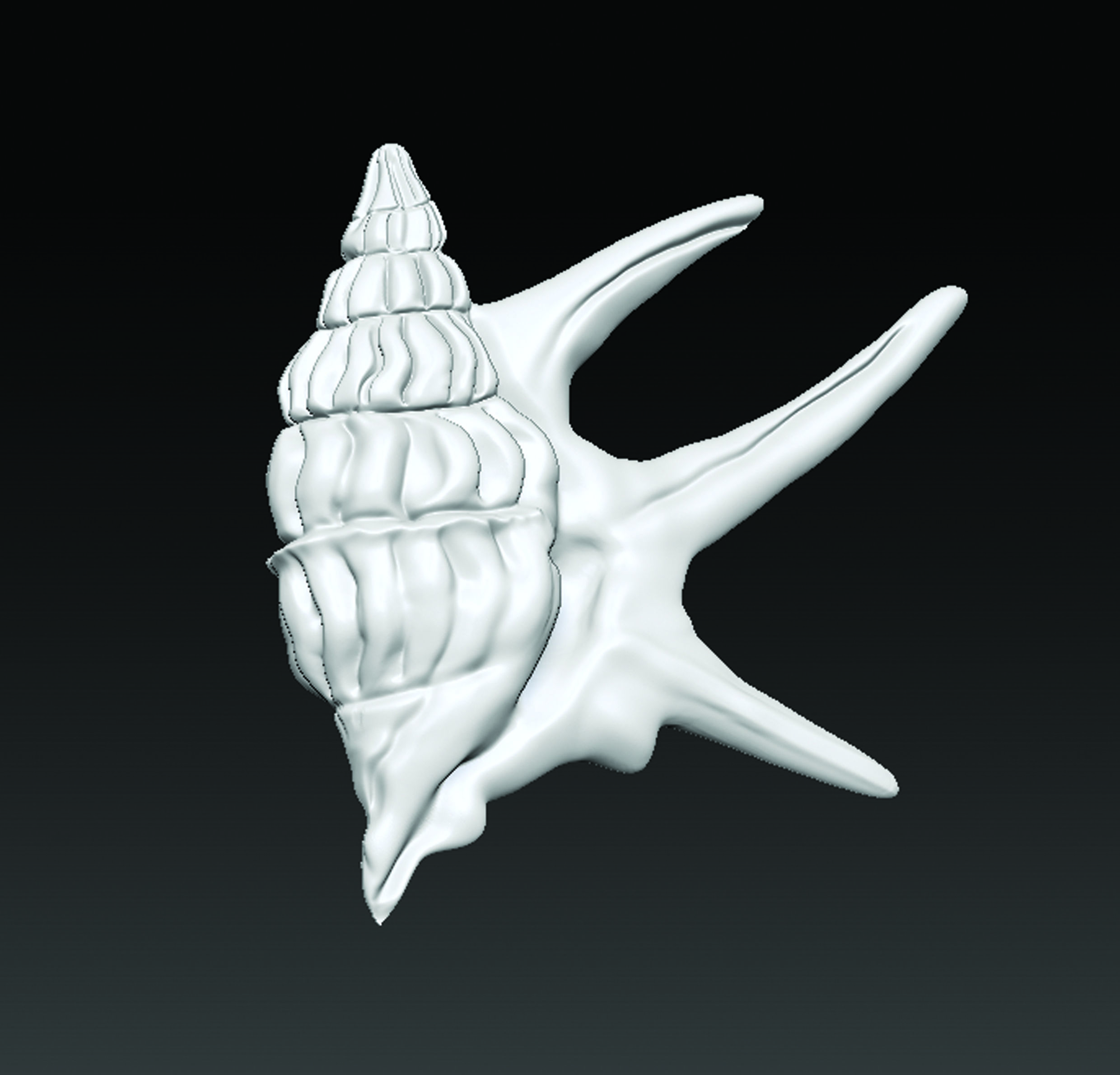 Sea Shell  3D print model_8