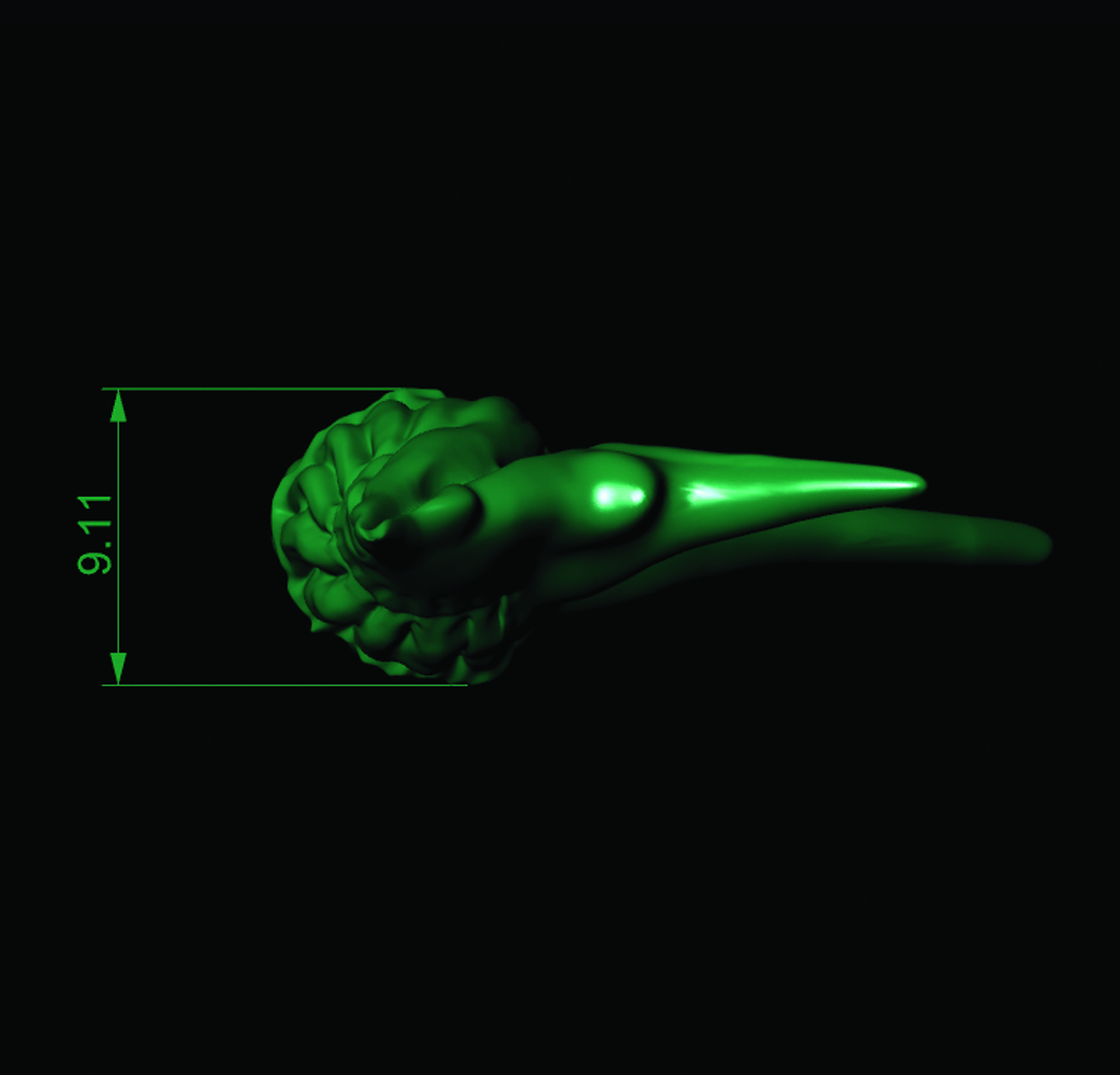 Sea Shell  3D print model_21