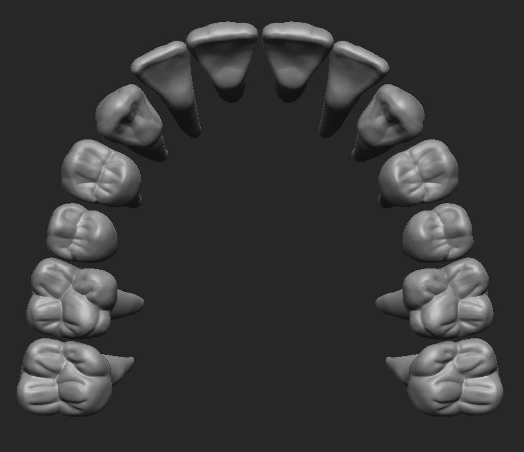 Upper teeth - Dientes superiores 3D print model_1