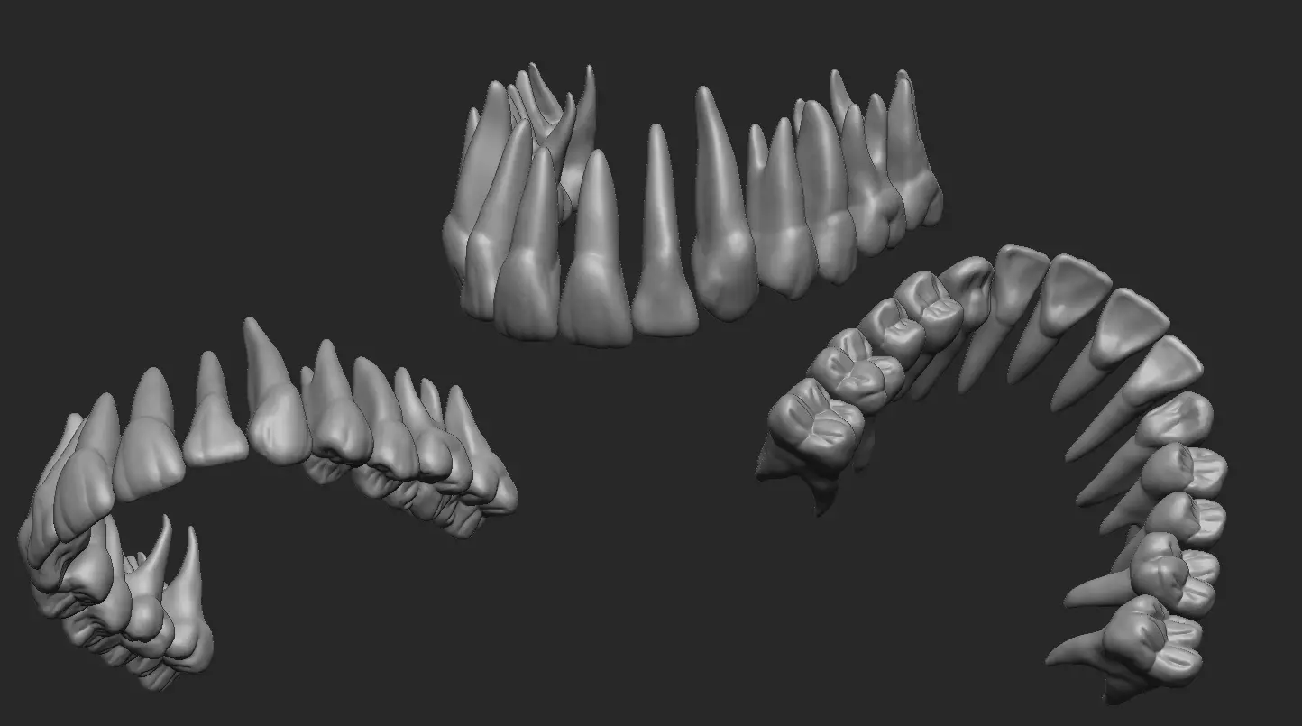 Upper teeth - Dientes superiores 3D print model_0
