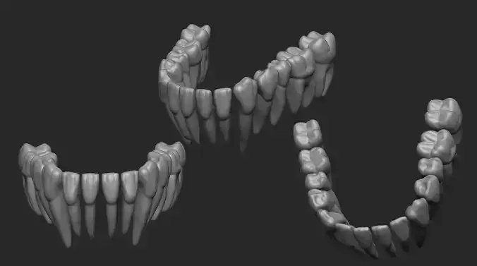 Lower Teeth - Dientes Inferiores 3D print model