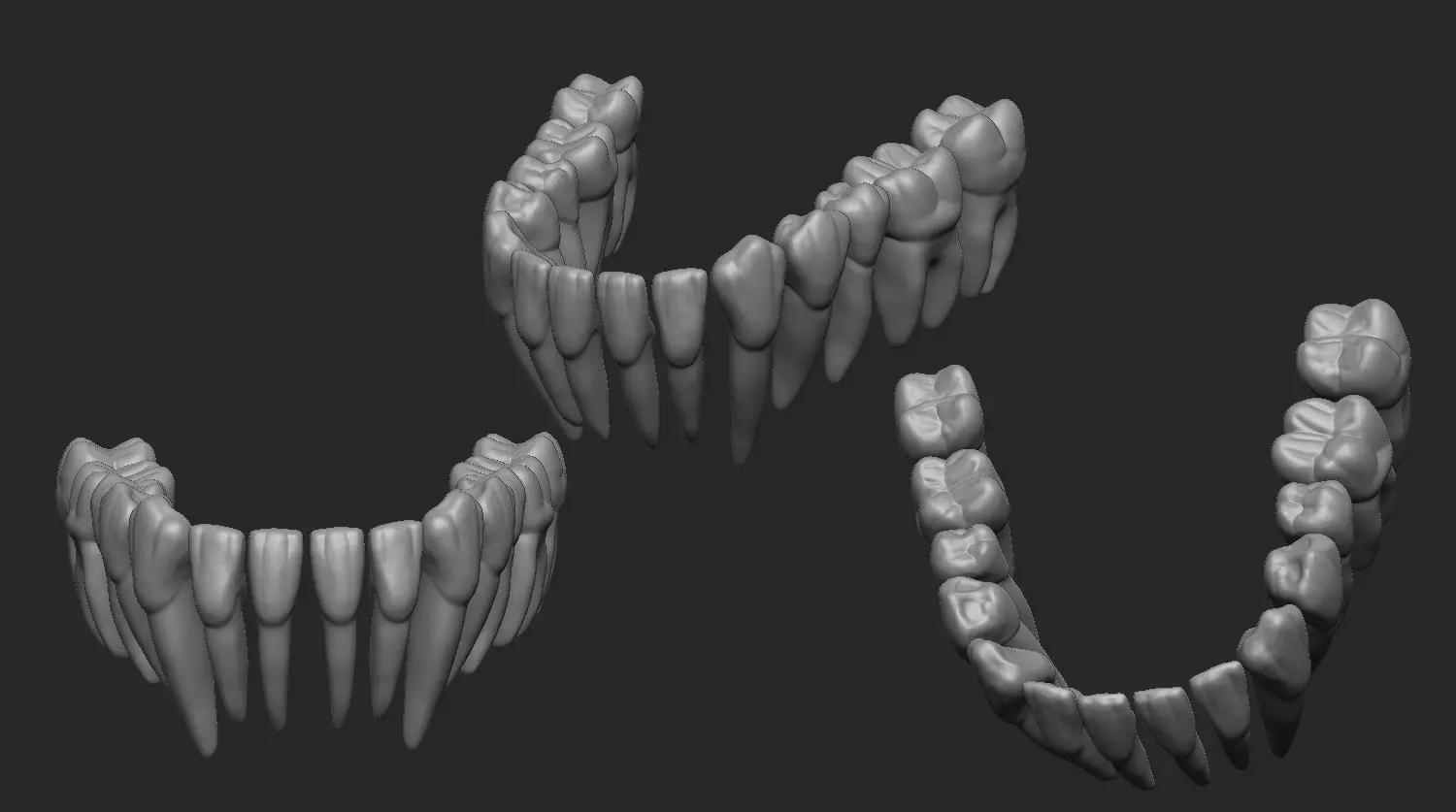 Lower Teeth - Dientes Inferiores 3D print model