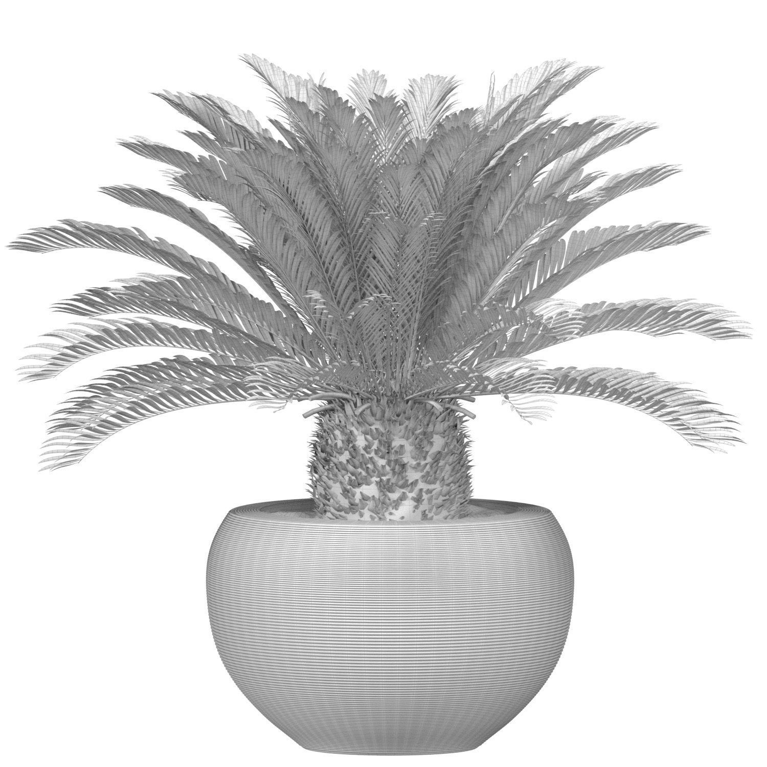 Decorative Evergreen Cycas Palm garden pot planters ArtDeco vase 3D model_2