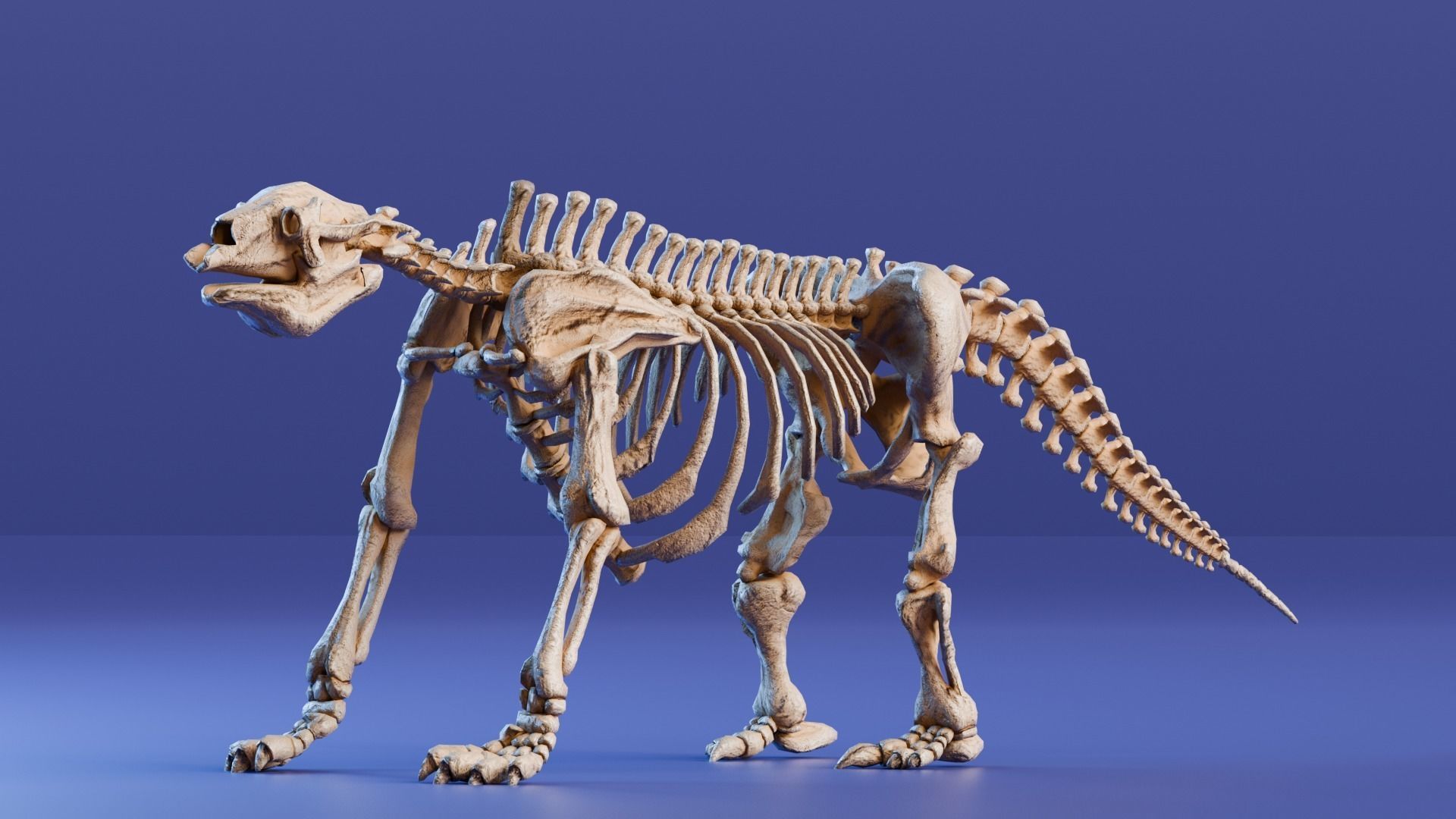 Realistic Mammals Fossil - Megatherium Low-poly 3D model_1