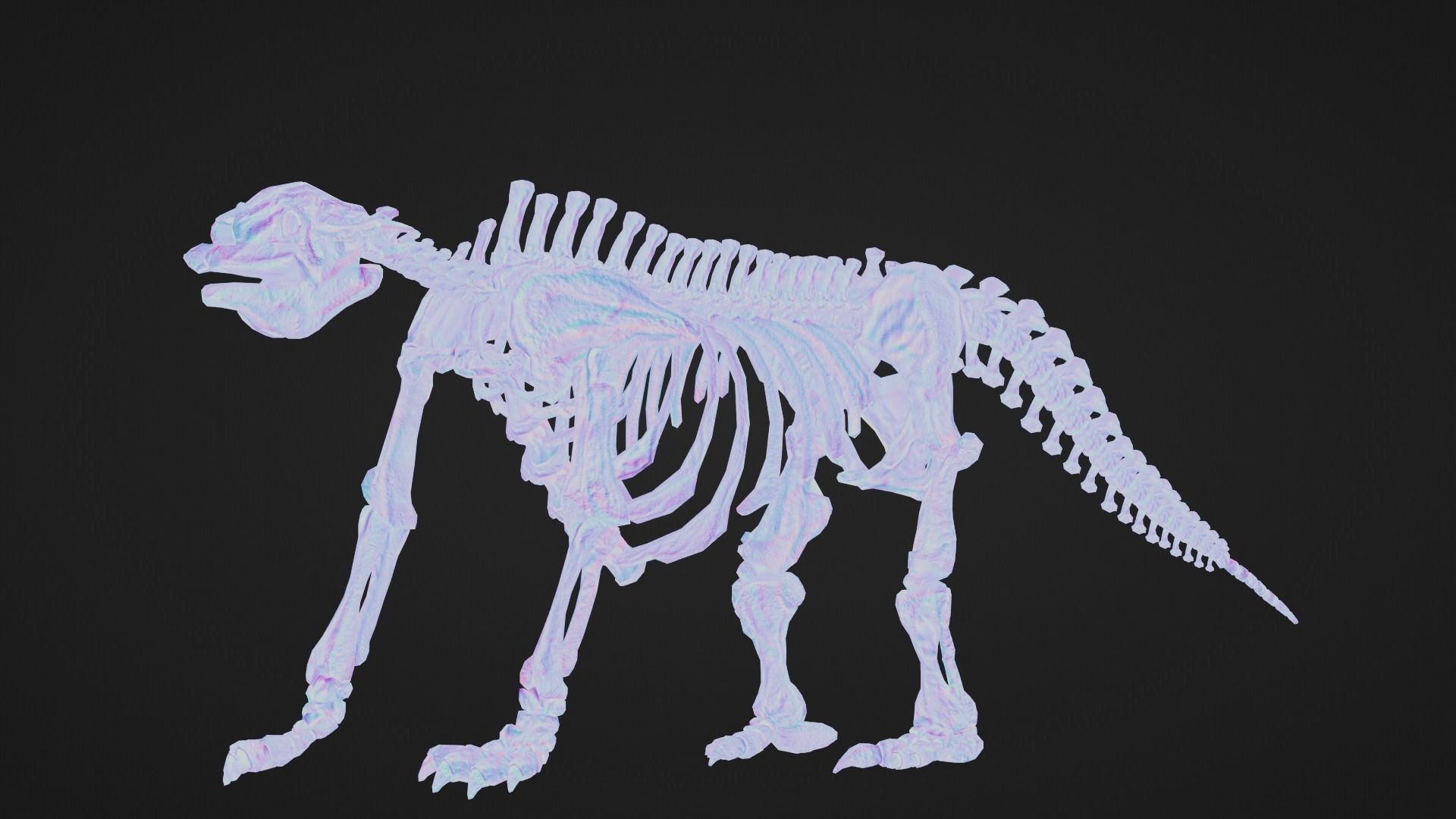 Realistic Mammals Fossil - Megatherium Low-poly 3D model_7
