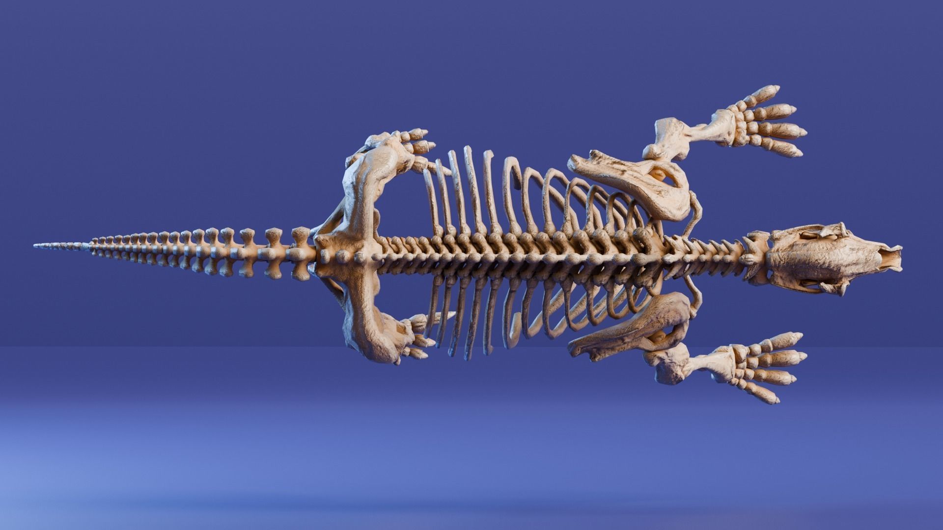 Realistic Mammals Fossil - Megatherium Low-poly 3D model_3