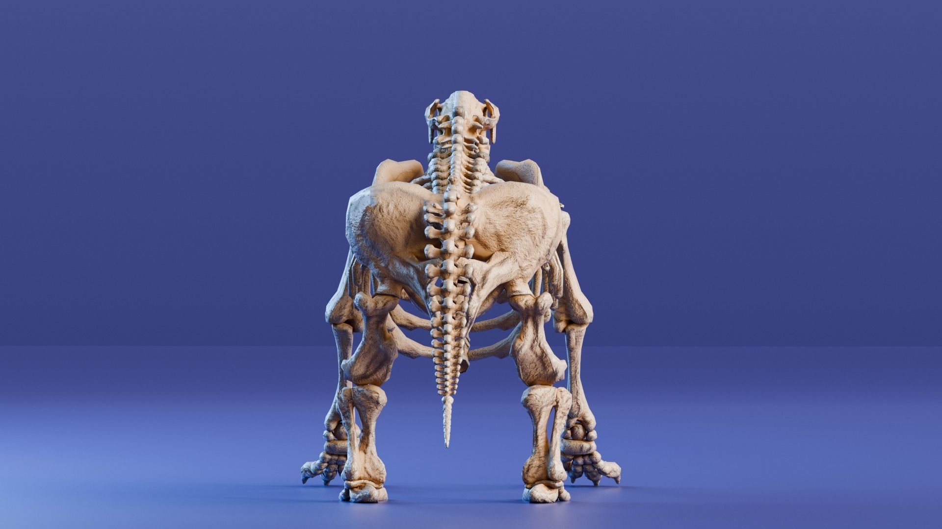 Realistic Mammals Fossil - Megatherium Low-poly 3D model_5