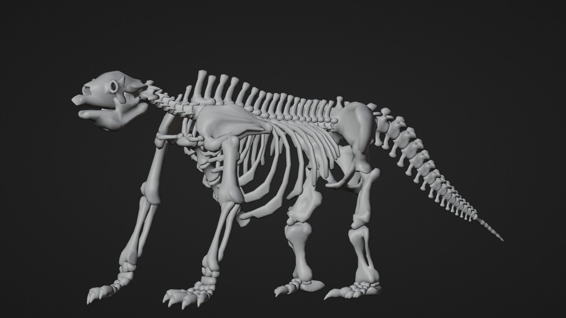 Realistic Mammals Fossil - Megatherium Low-poly 3D model_9