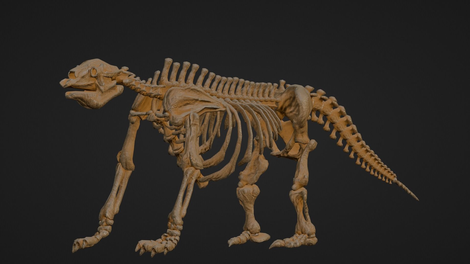 Realistic Mammals Fossil - Megatherium Low-poly 3D model_6