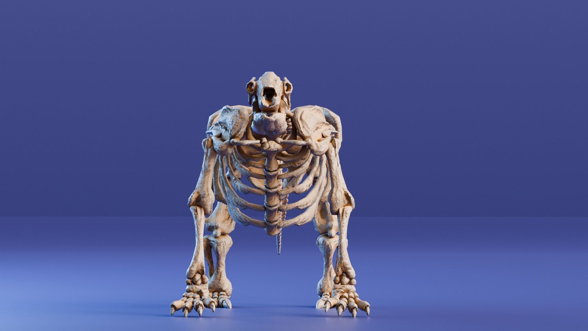 Realistic Mammals Fossil - Megatherium Low-poly 3D model_4