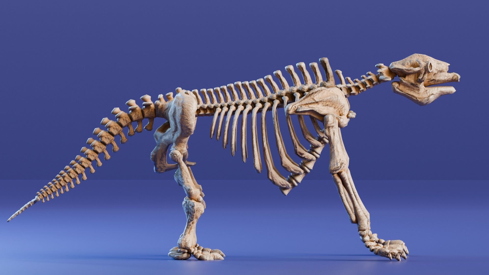 Realistic Mammals Fossil - Megatherium Low-poly 3D model_2
