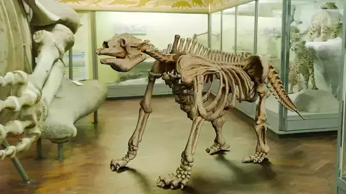 Realistic Mammals Fossil - Megatherium