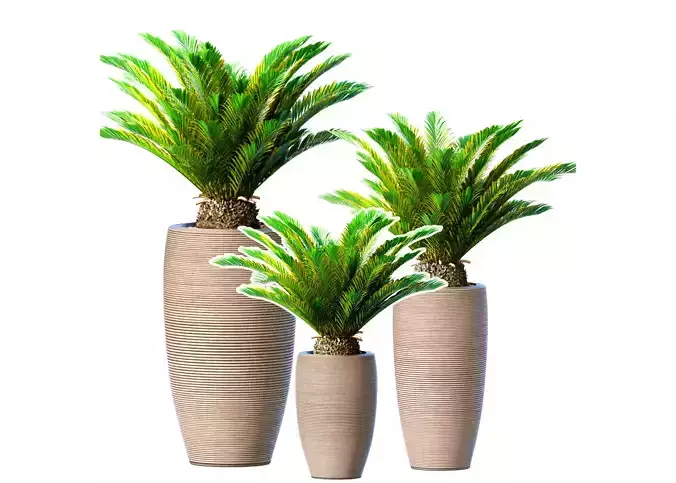 Decorative evergreen Cycas palm modern high floor vase Art Deco