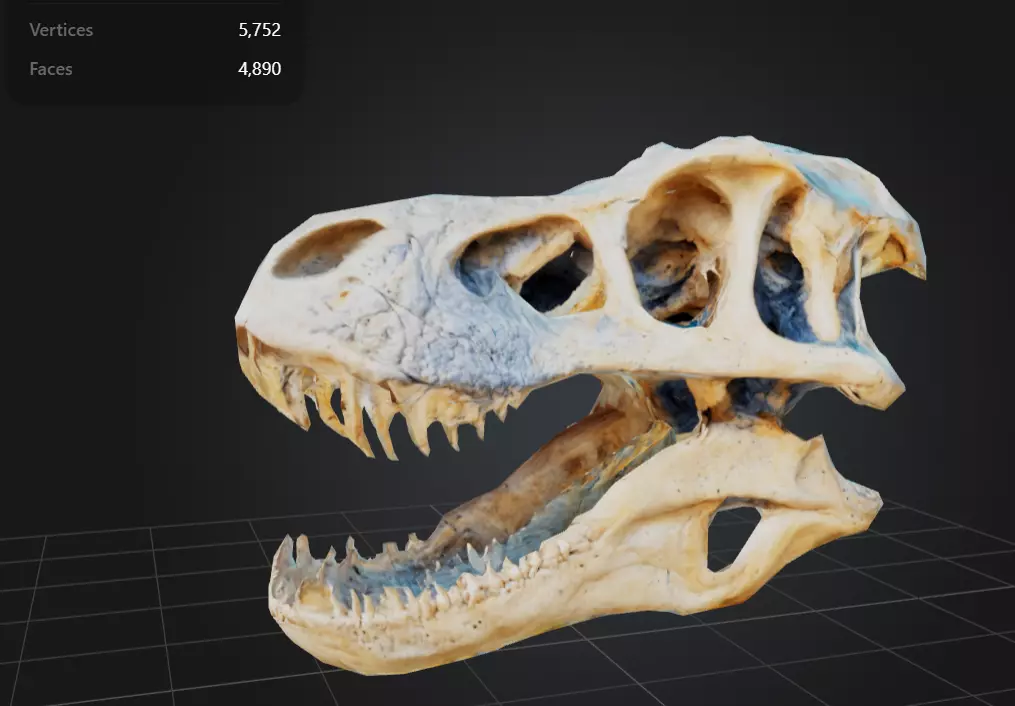 FREE T-Rex Skull Free low-poly 3D model_0