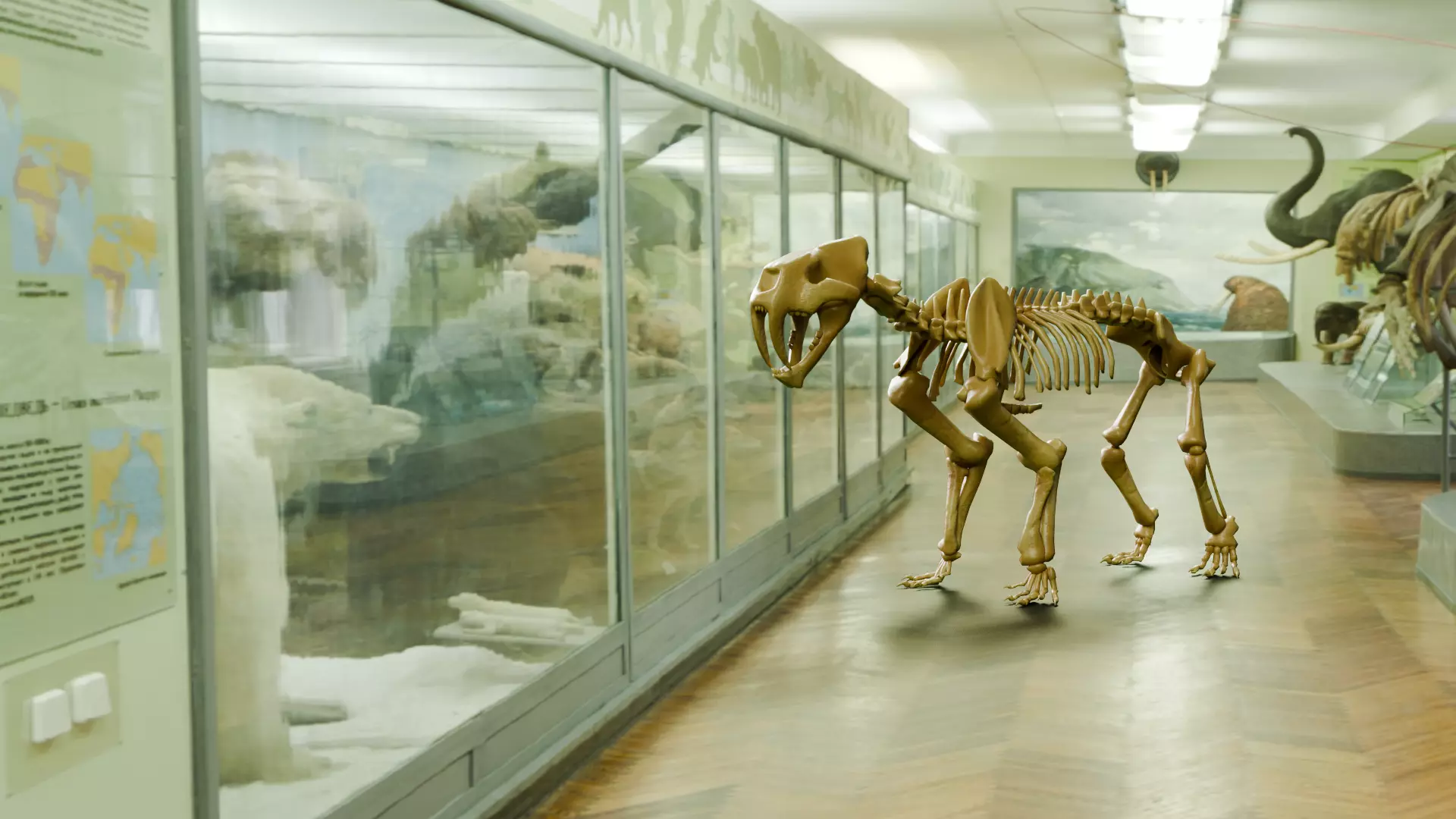 Relistic Mammals Fossil - Sabertooth Low-poly 3D model_0