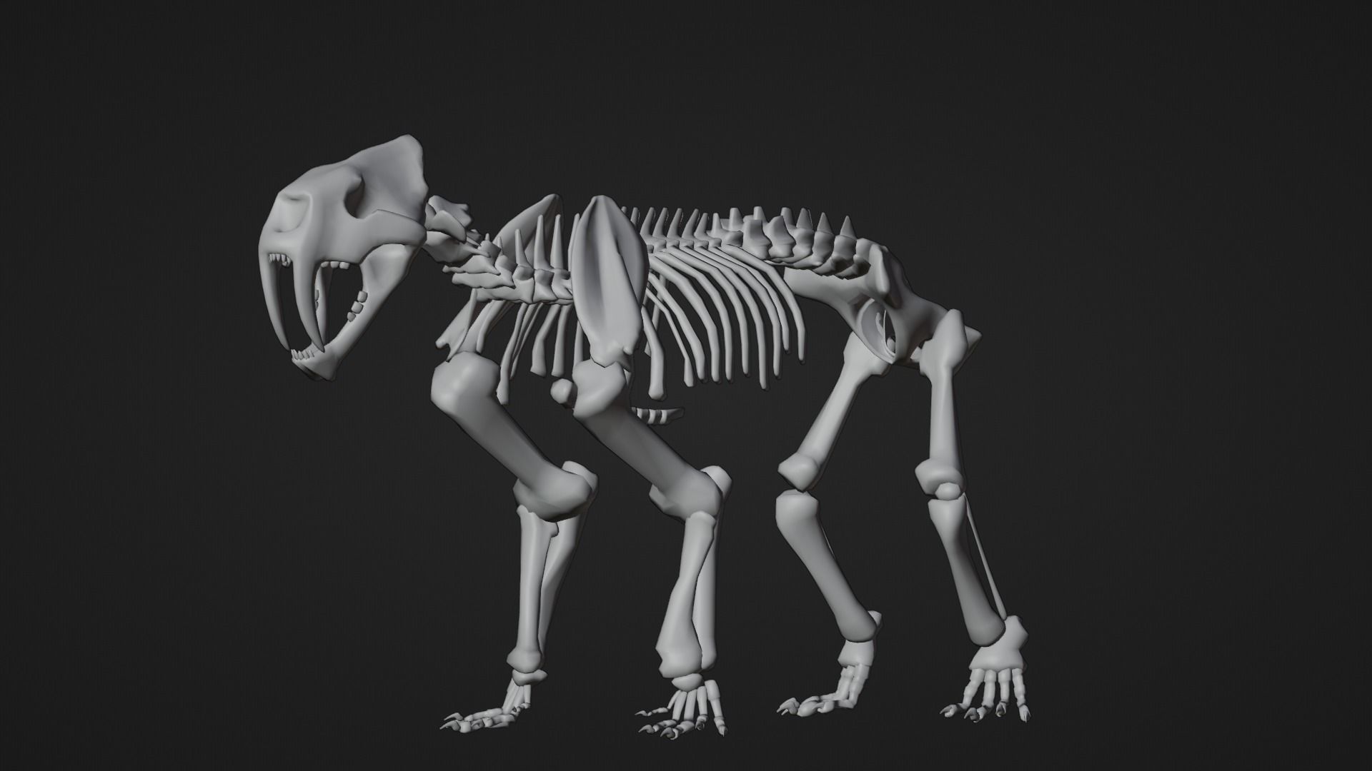 Relistic Mammals Fossil - Sabertooth Low-poly 3D model_8