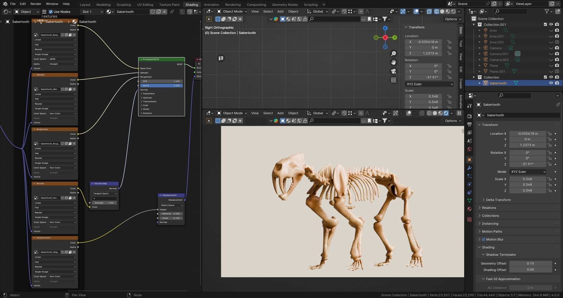 Relistic Mammals Fossil - Sabertooth Low-poly 3D model_9