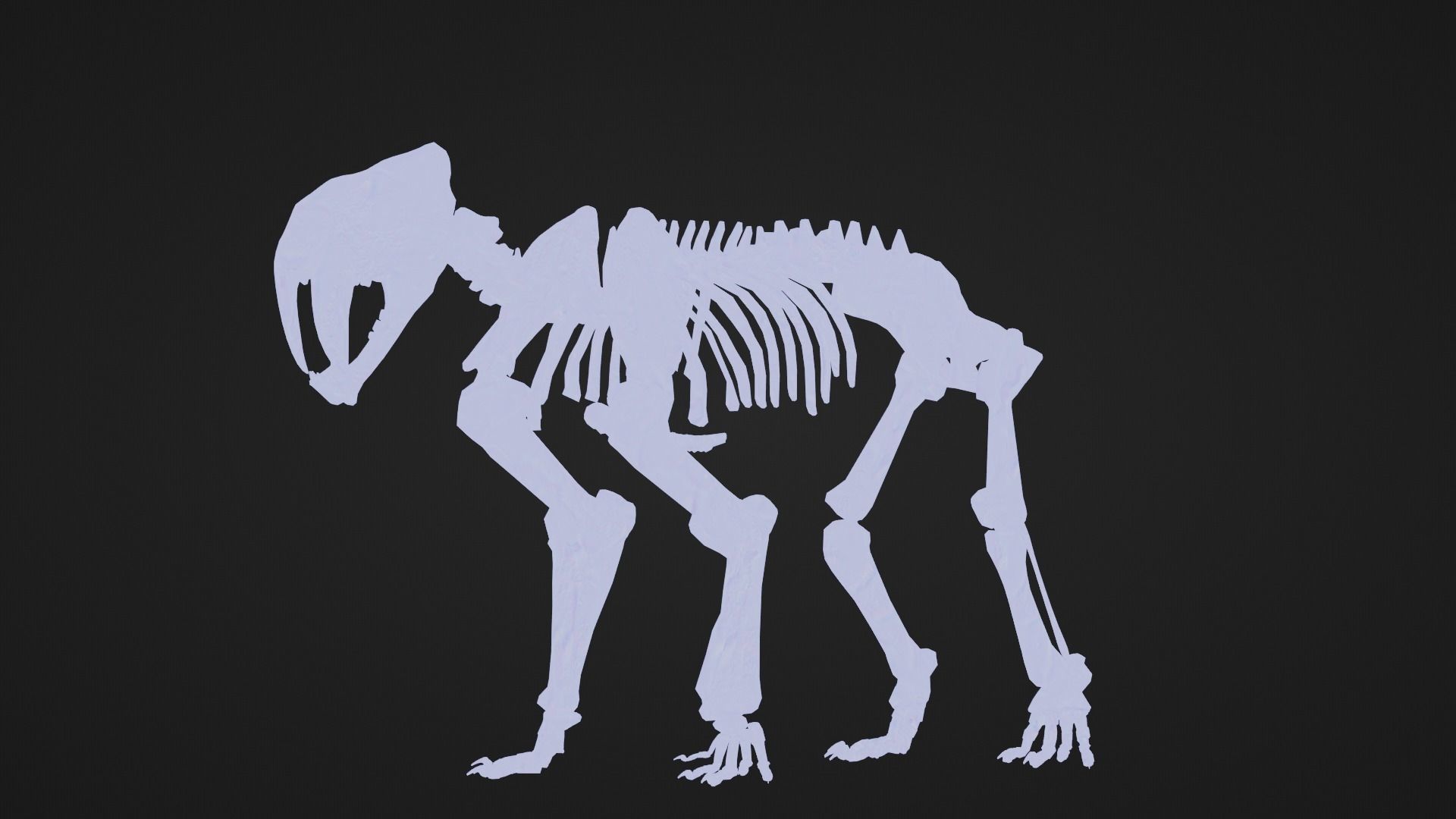 Relistic Mammals Fossil - Sabertooth Low-poly 3D model_7