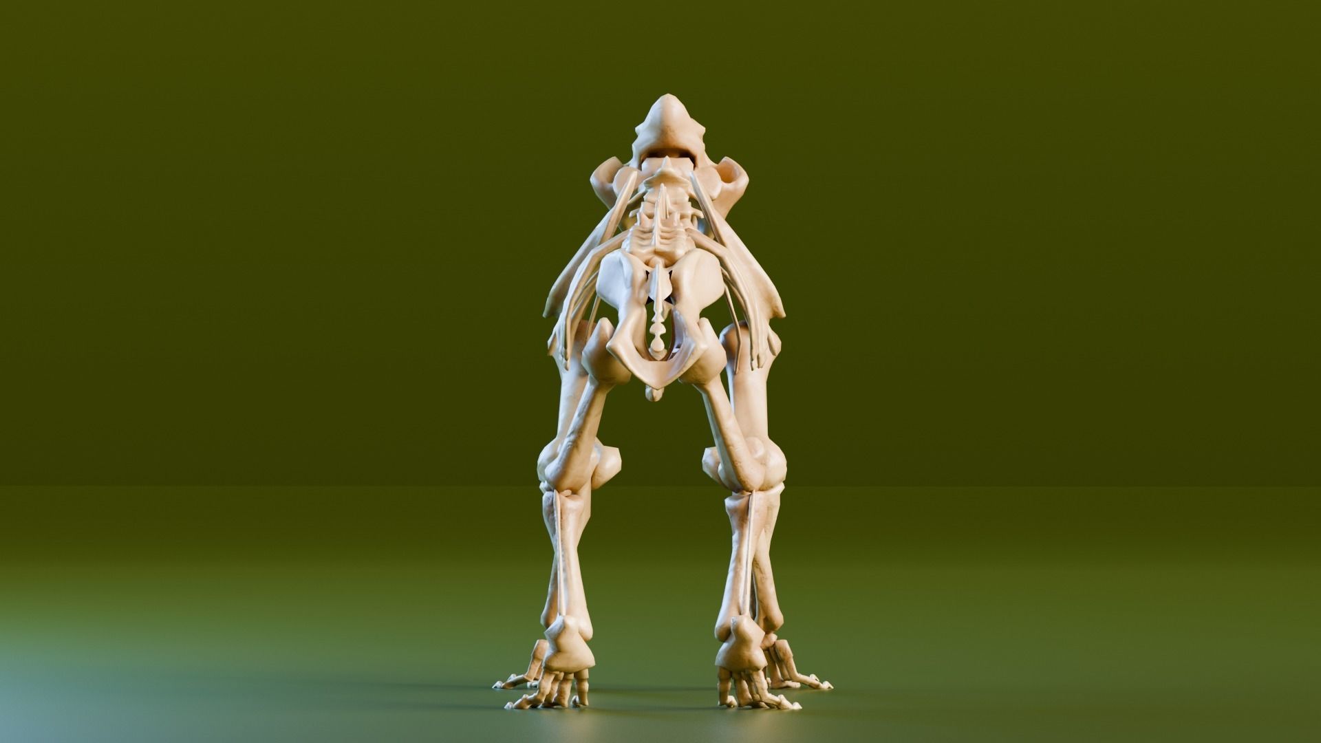Relistic Mammals Fossil - Sabertooth Low-poly 3D model_4