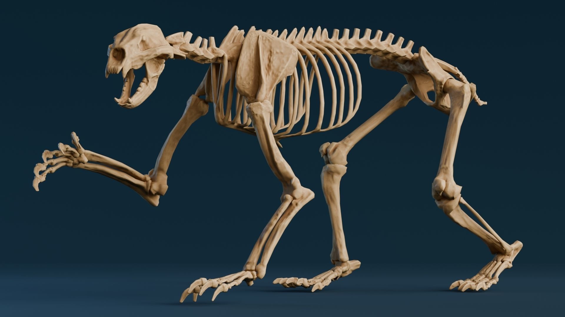 Realistic Mammals Fossil - Short Faced Bear Low-poly 3D model_2
